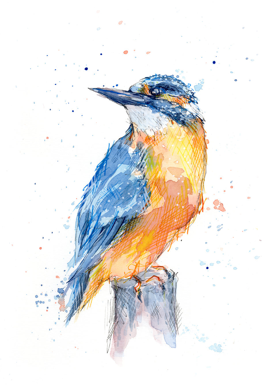 A6 Greetings card Kingfisher with White envelope