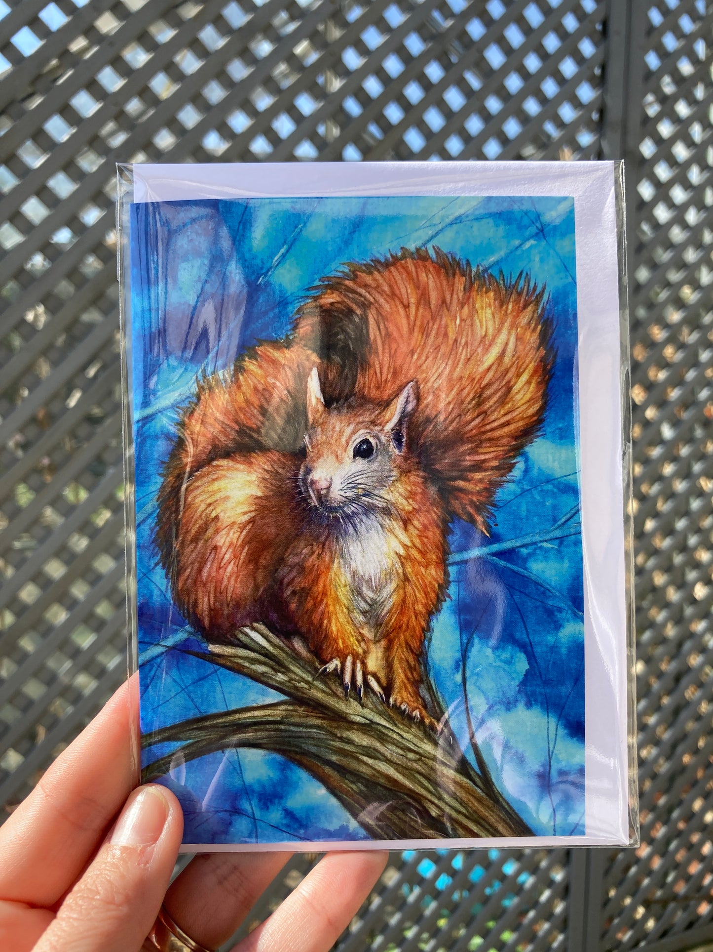 A6 Greetings card squirrel with White envelope