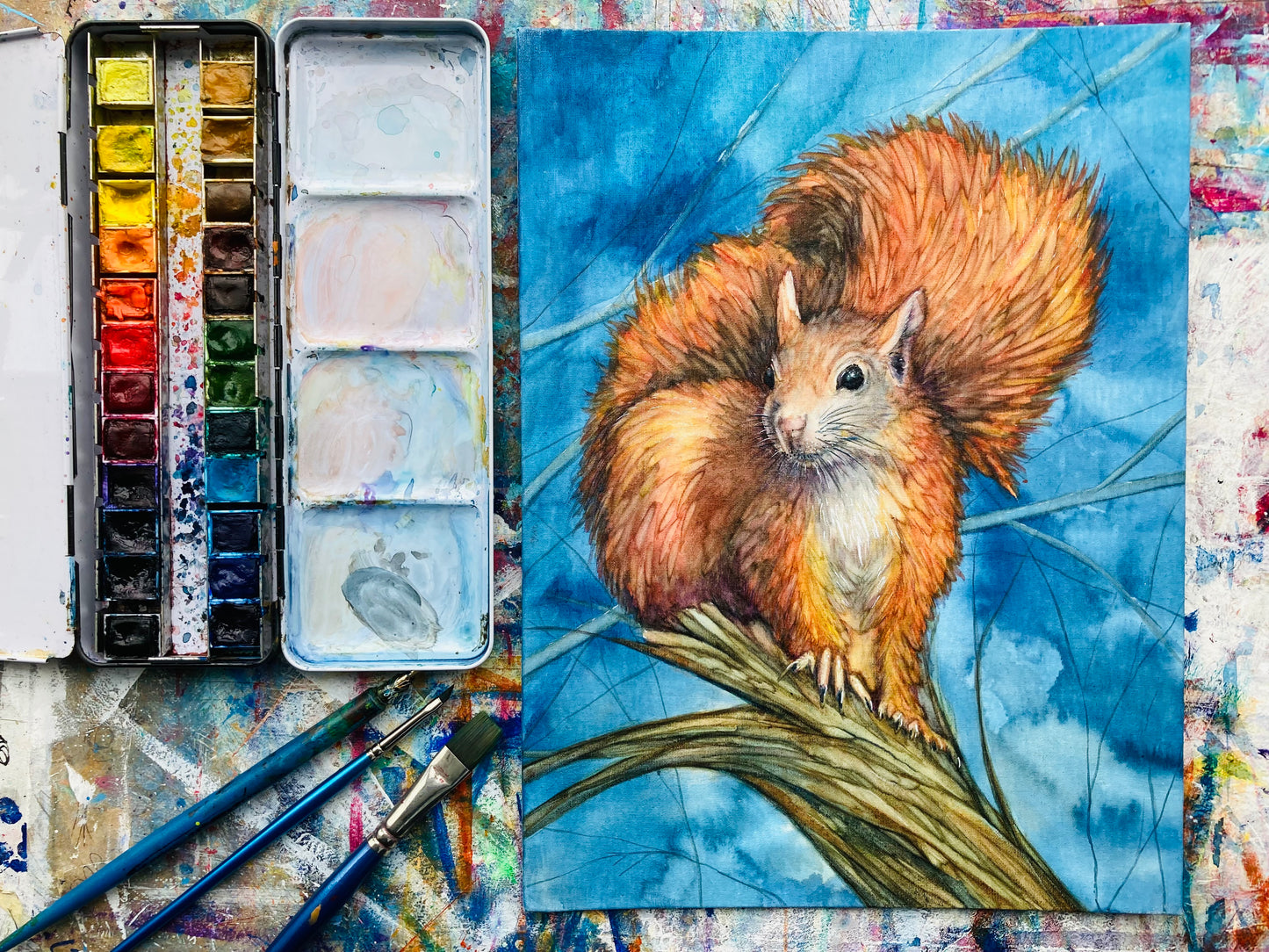 Scouting before Dawn - red squirrel