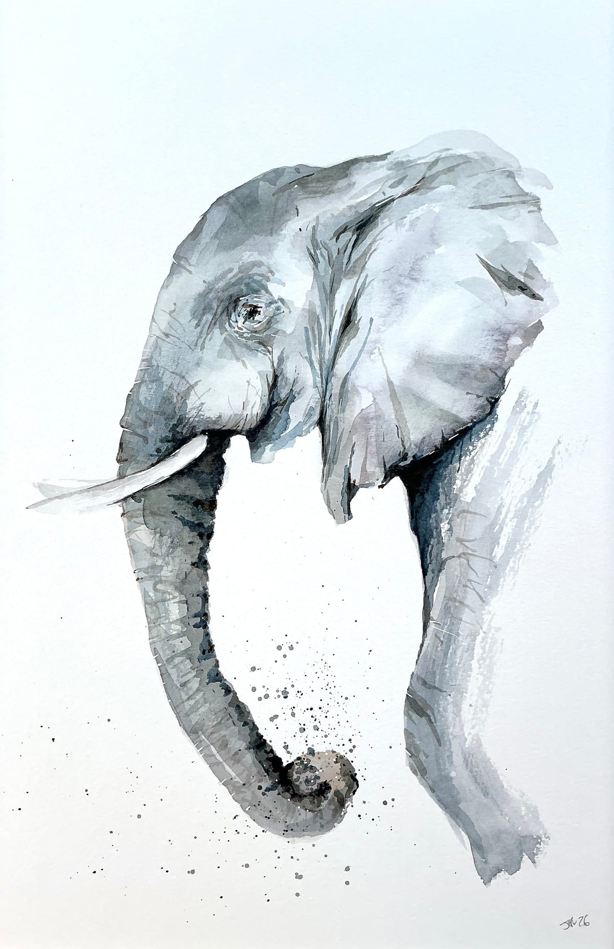 Elegant Elephant