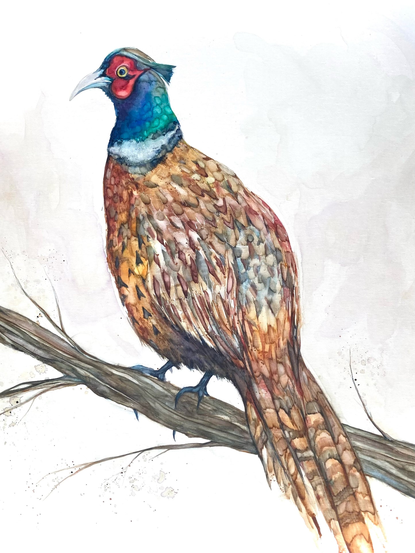 A Pleasant Pheasant