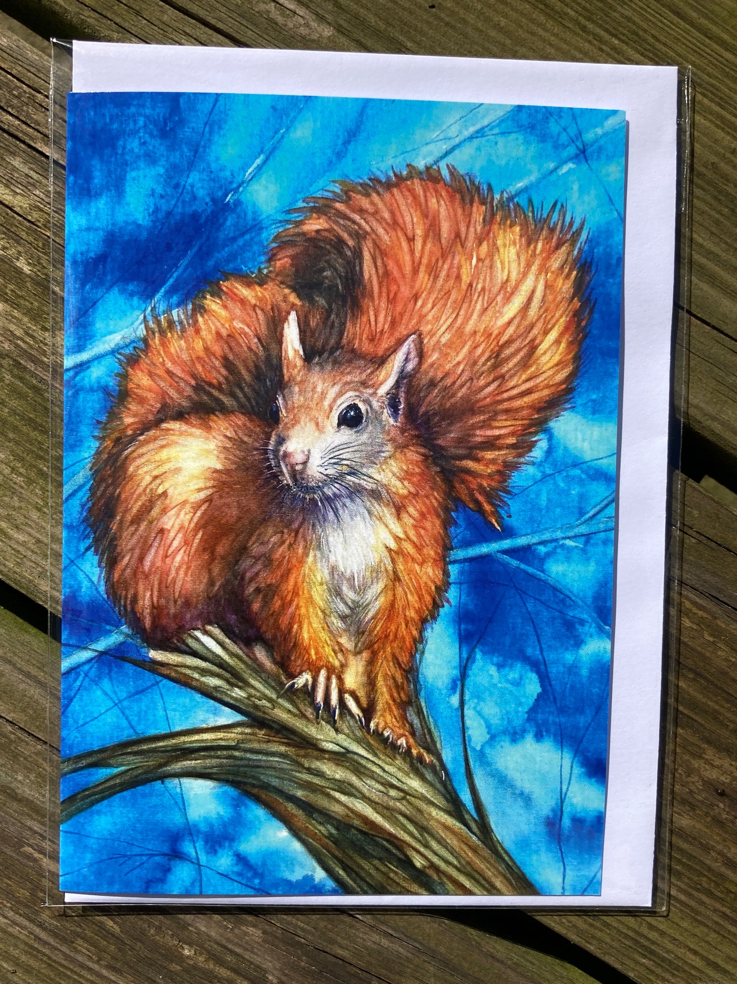 A6 Greetings card squirrel with White envelope
