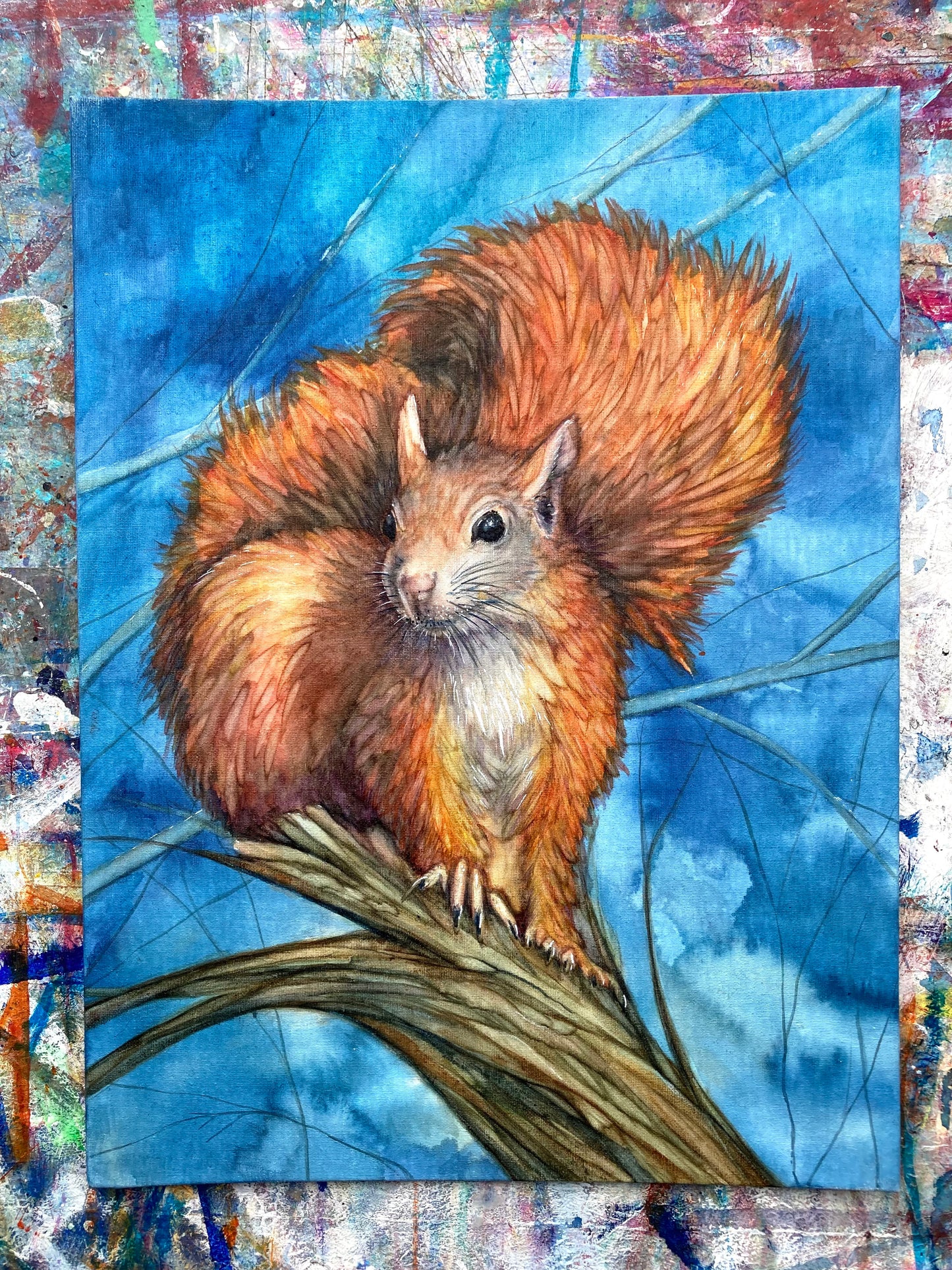 Scouting before Dawn - red squirrel