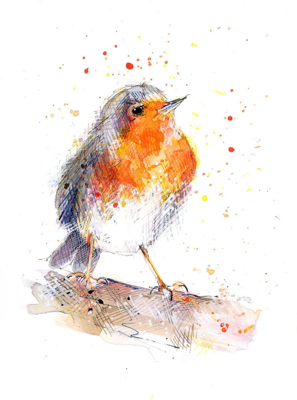 A6 Greetings card Robin with White envelope