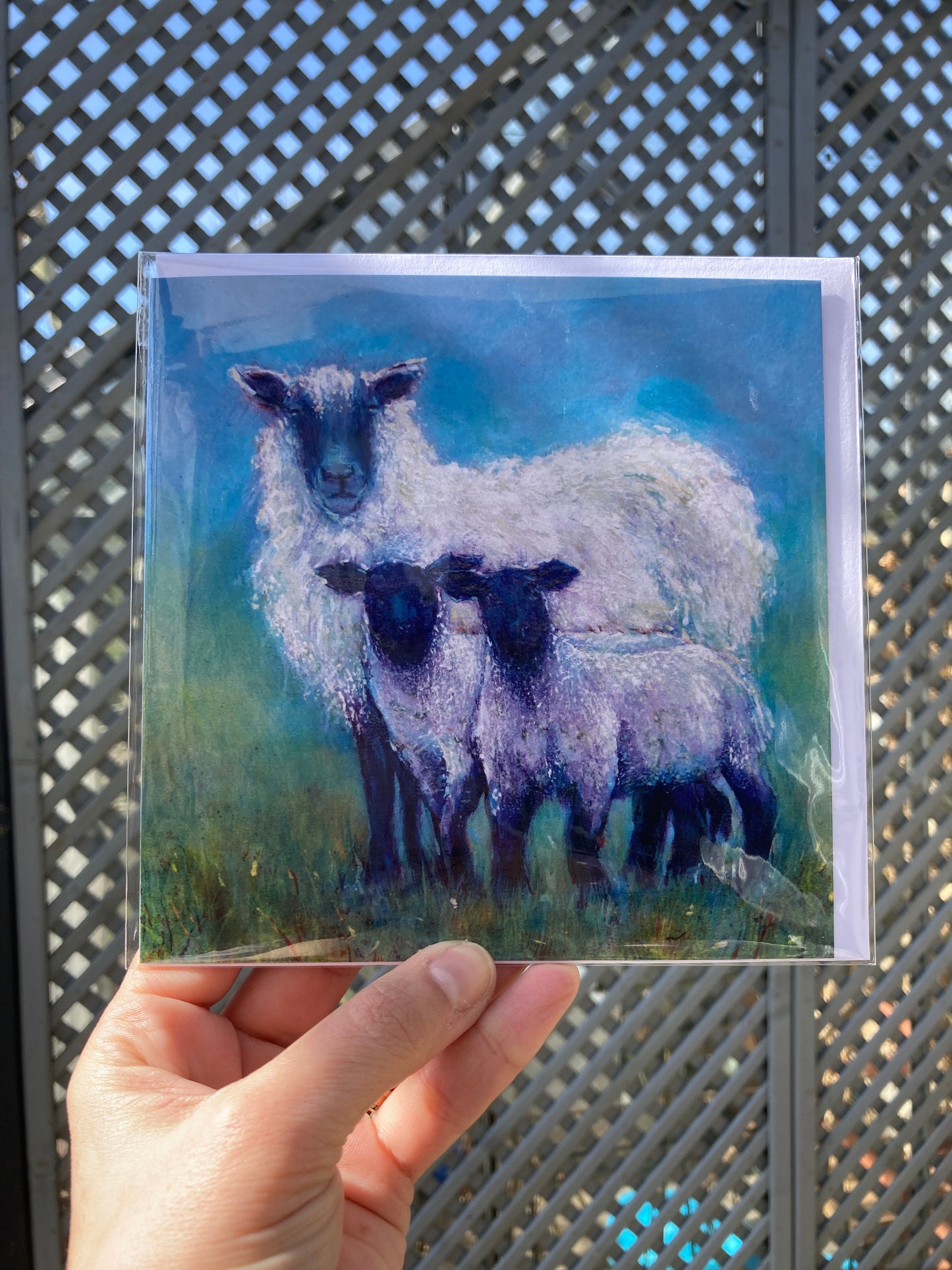 Mother sheep with two lambs square greeting card