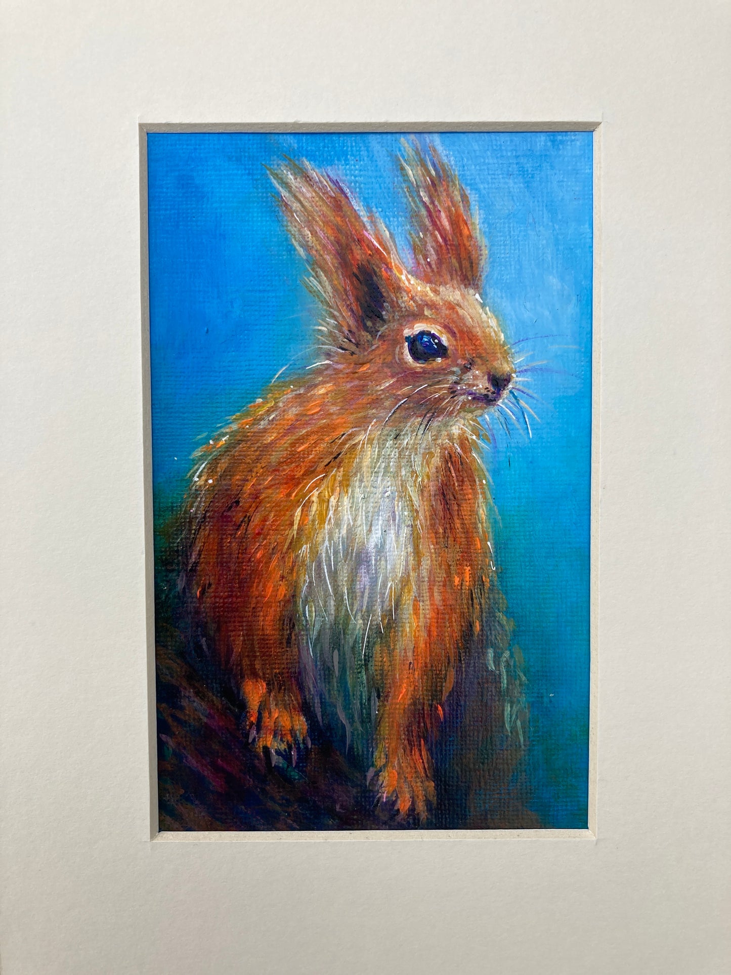 Red Squirrel perched