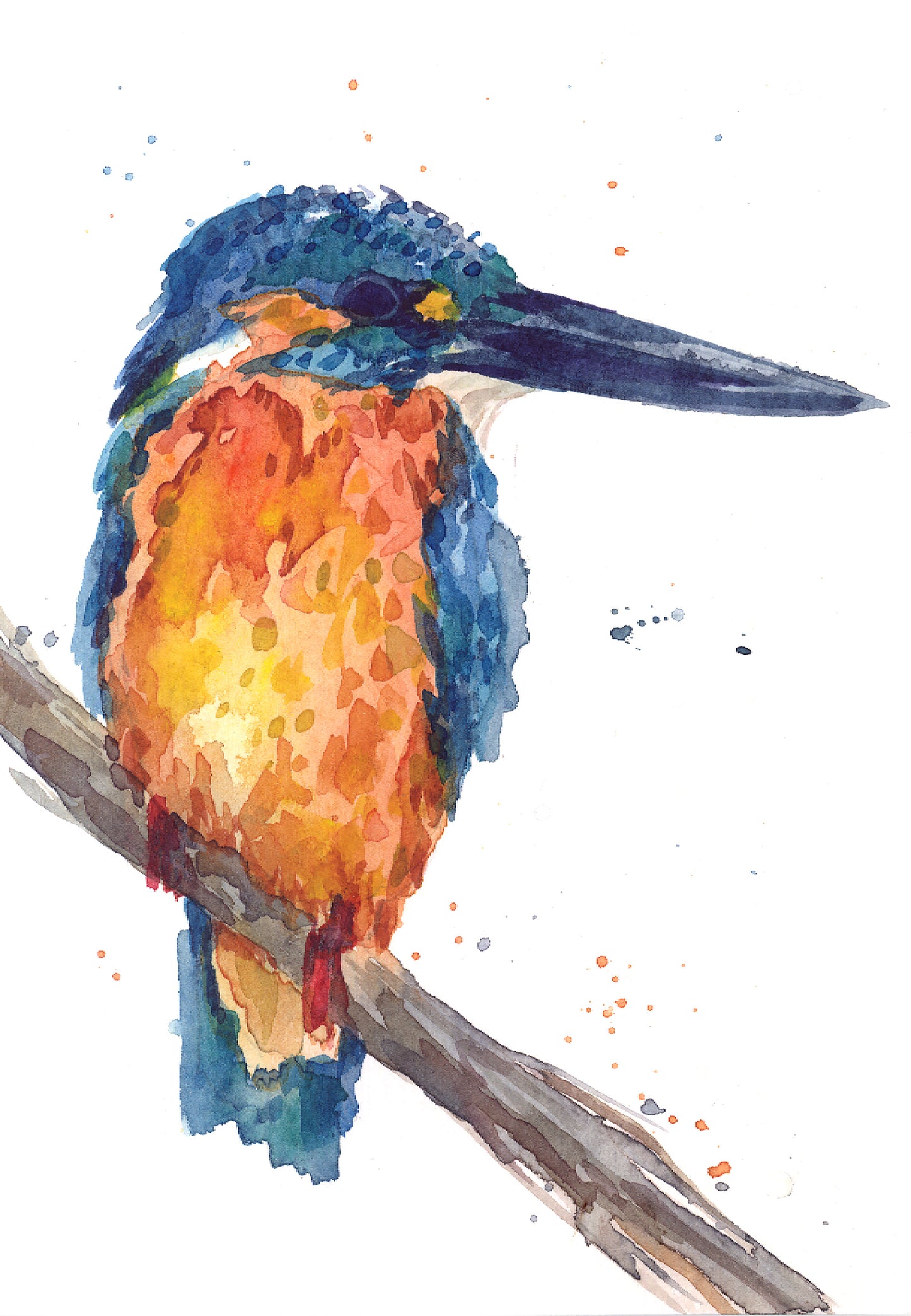 February15 King Fisher