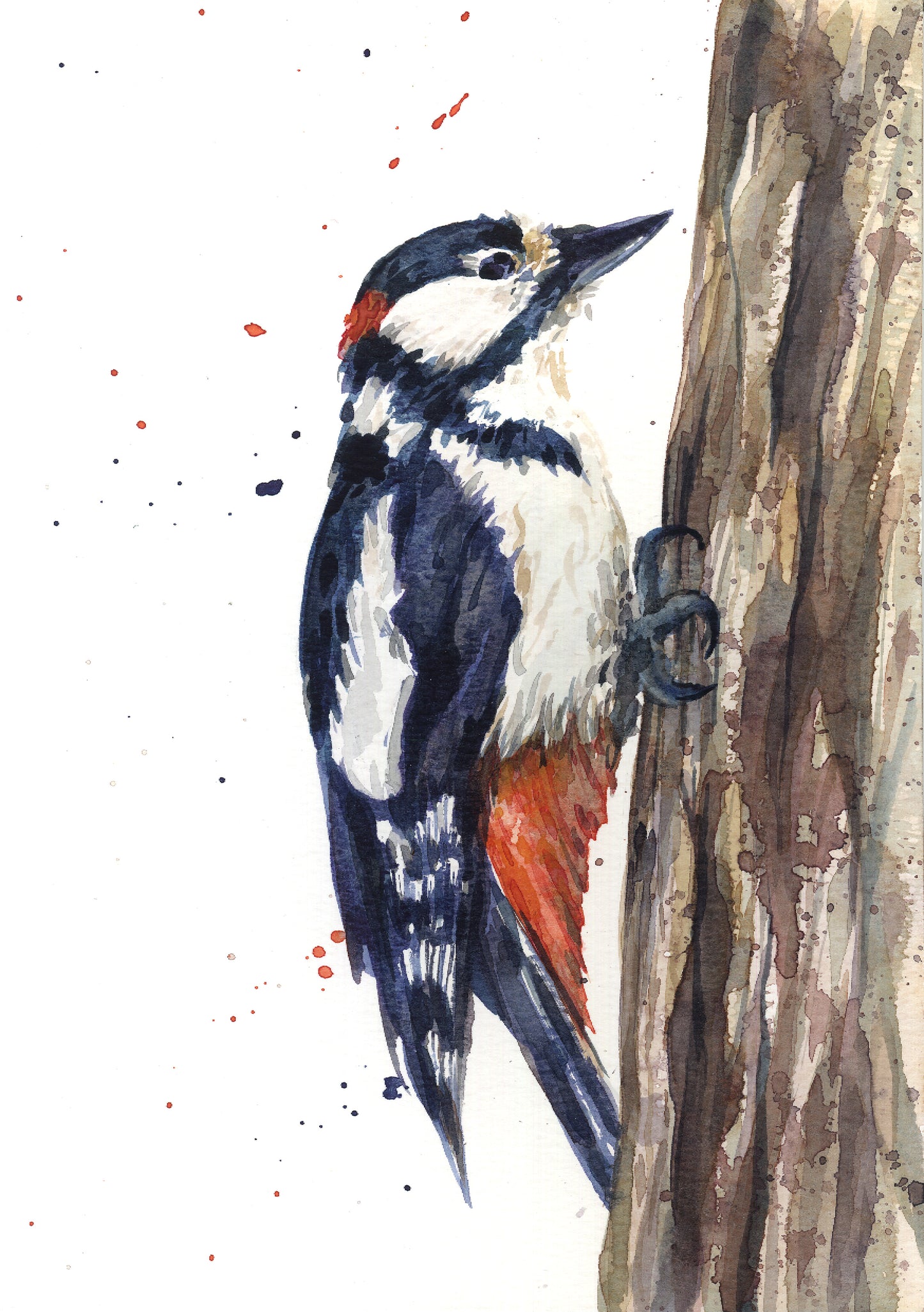 February20 Woodpecker