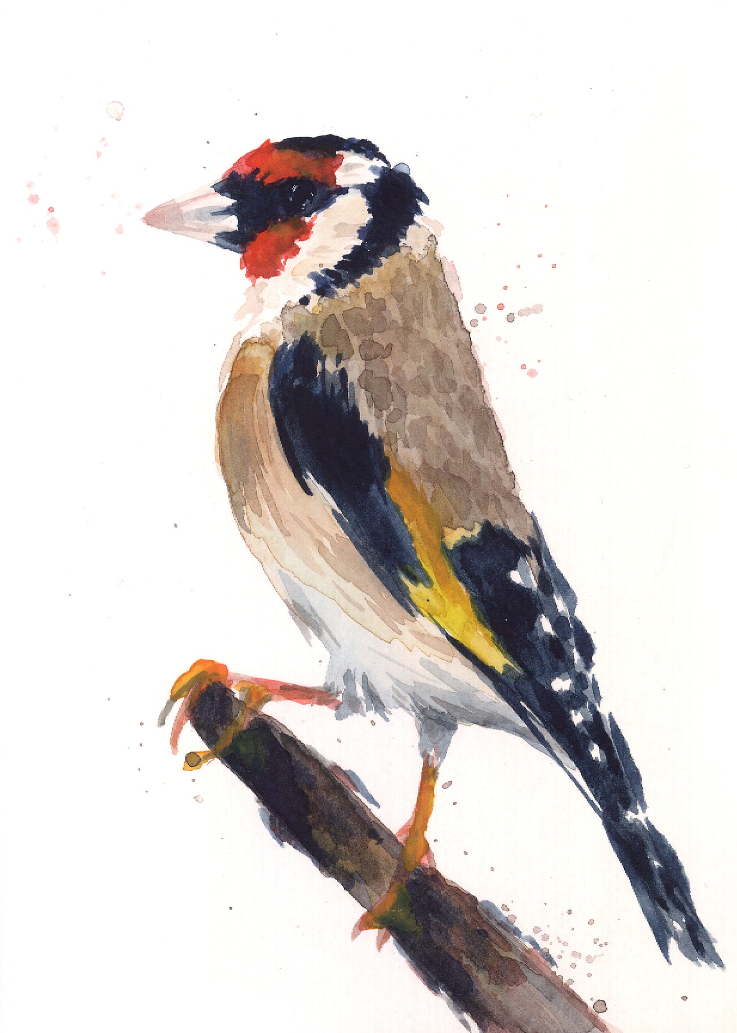February07 Goldfinch