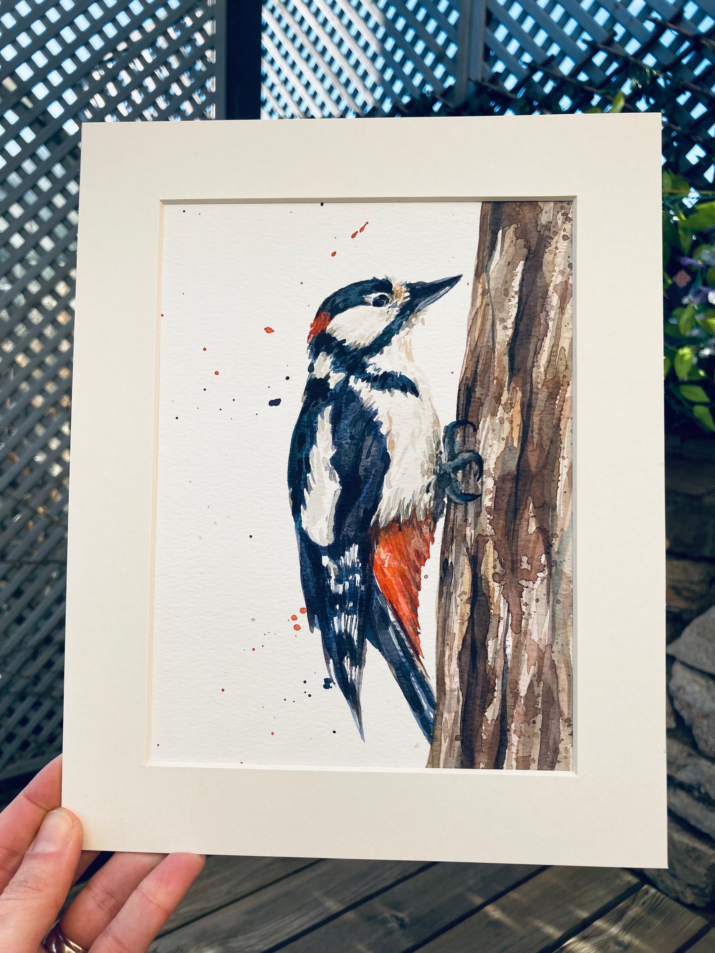 February20 Woodpecker