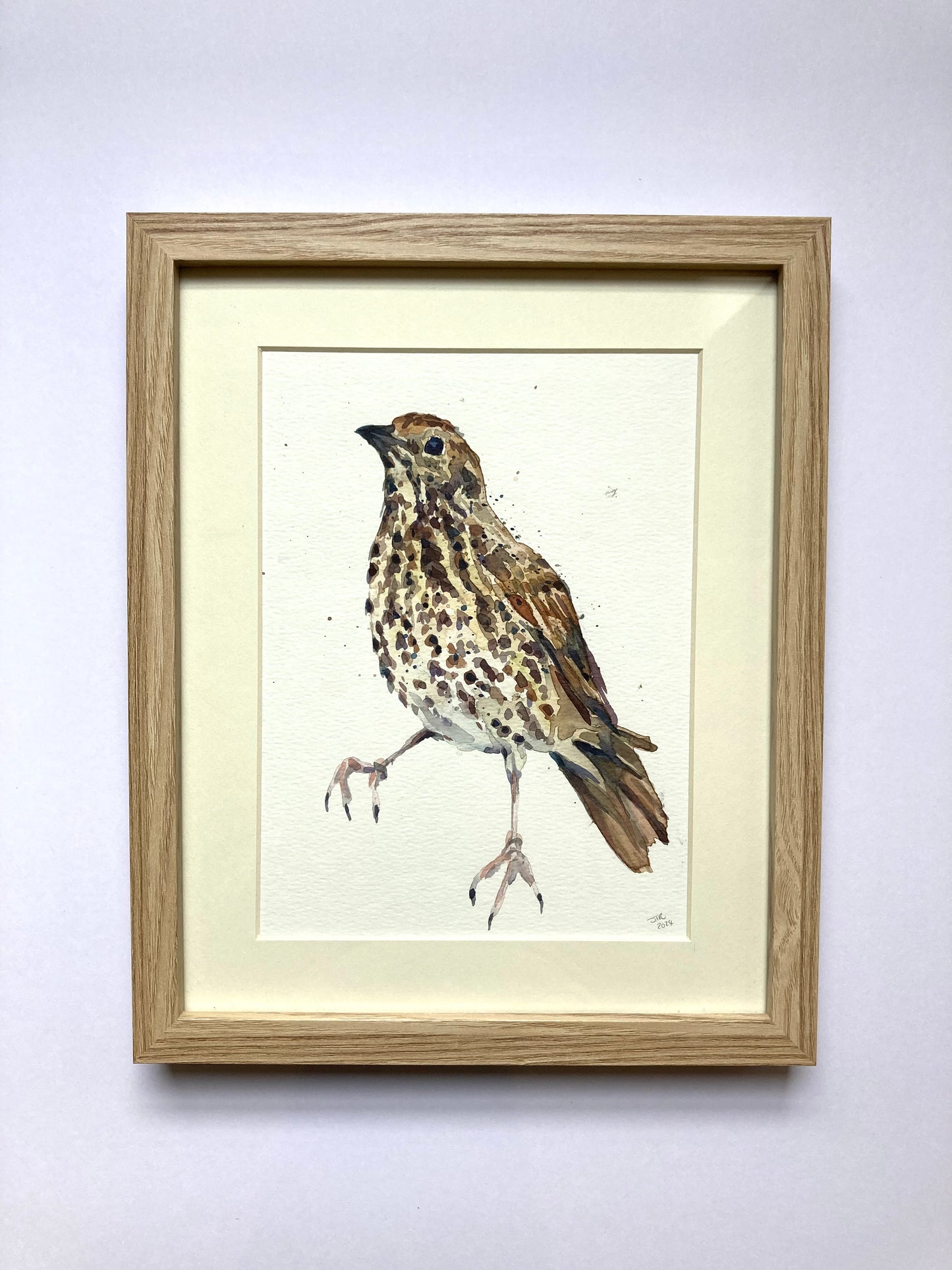 February18 Song Thrush