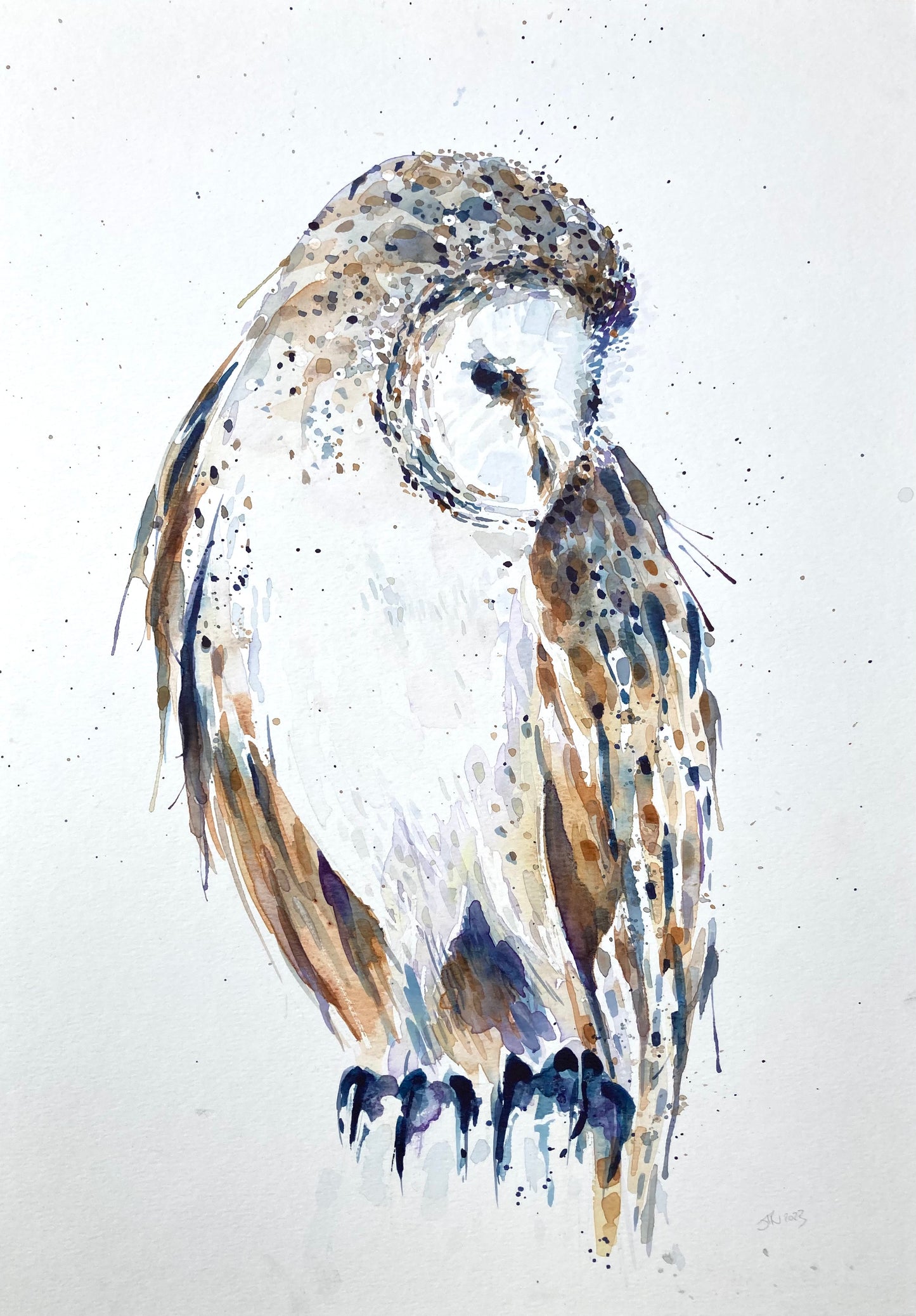February01 Barn Owl