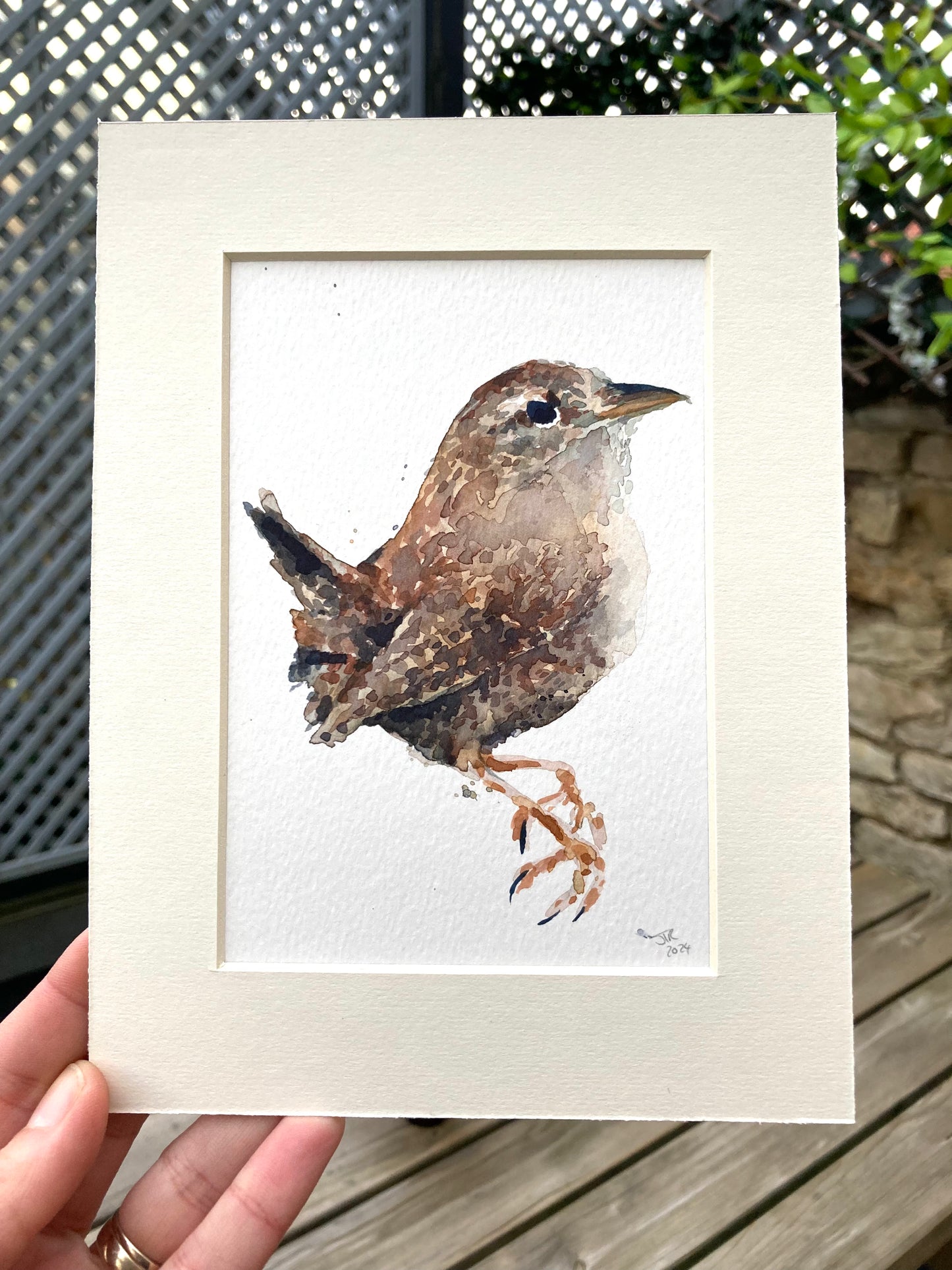 February06 Wren