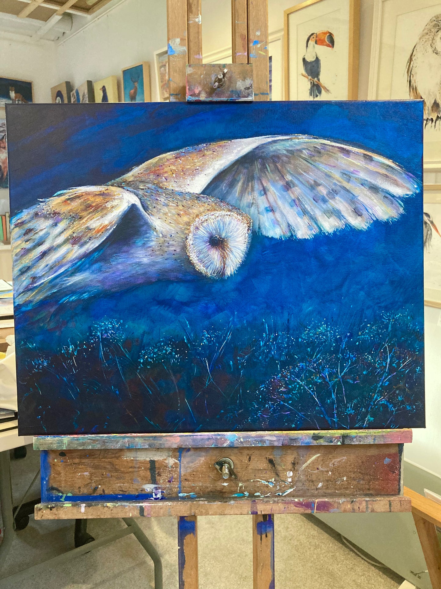 “Dawn pursuit-Barn Owl”