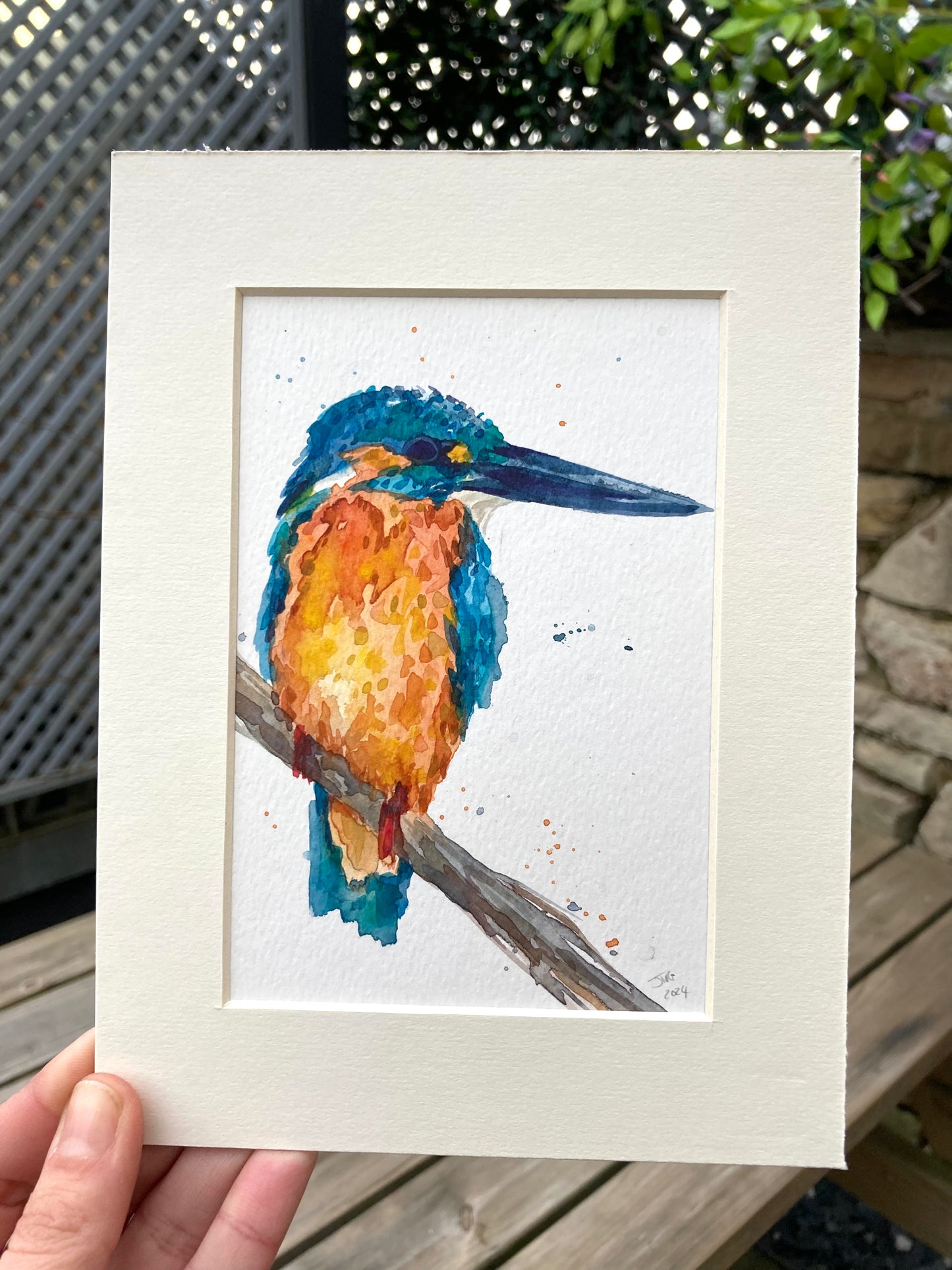 February15 King Fisher