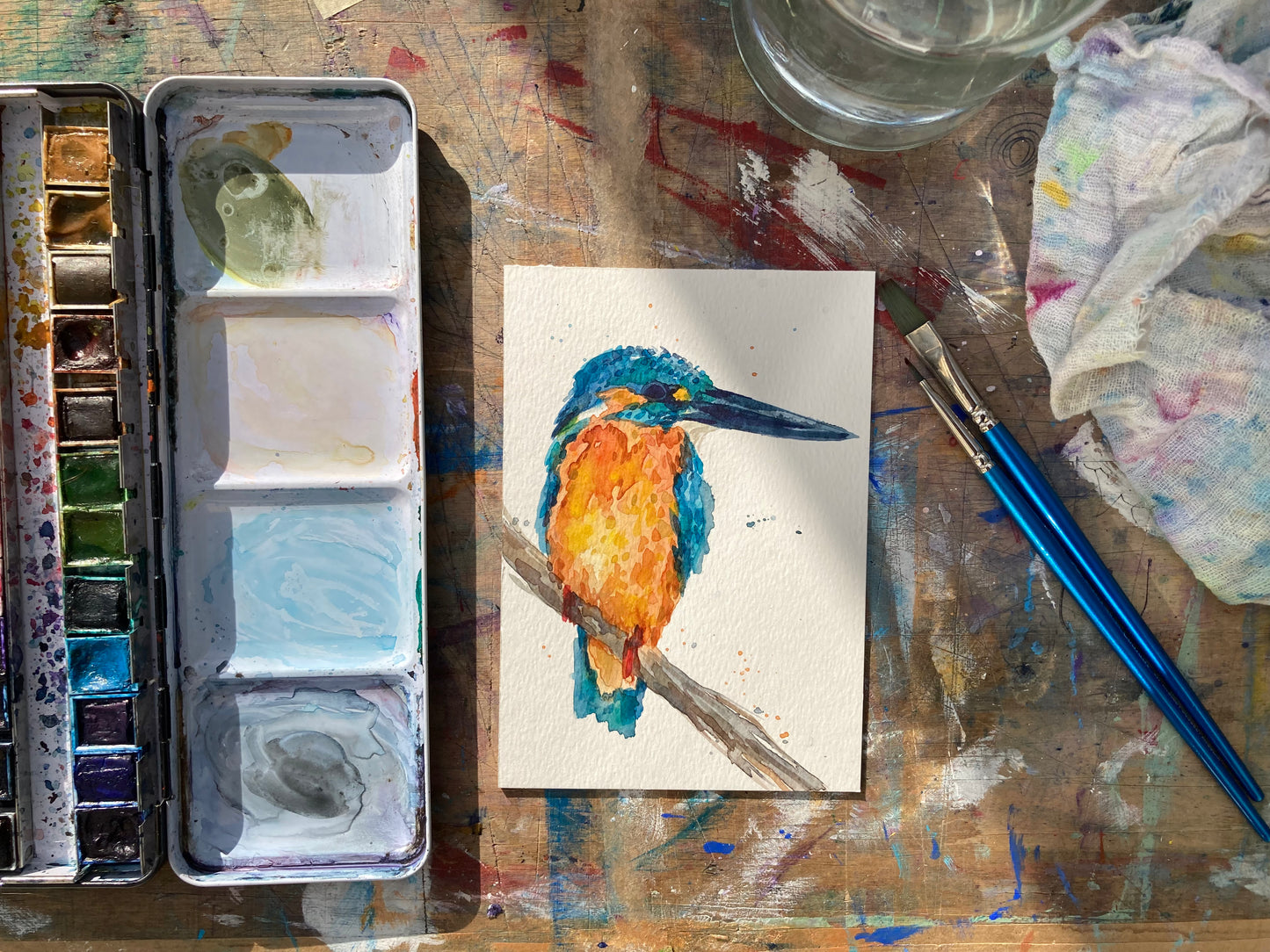 February15 King Fisher