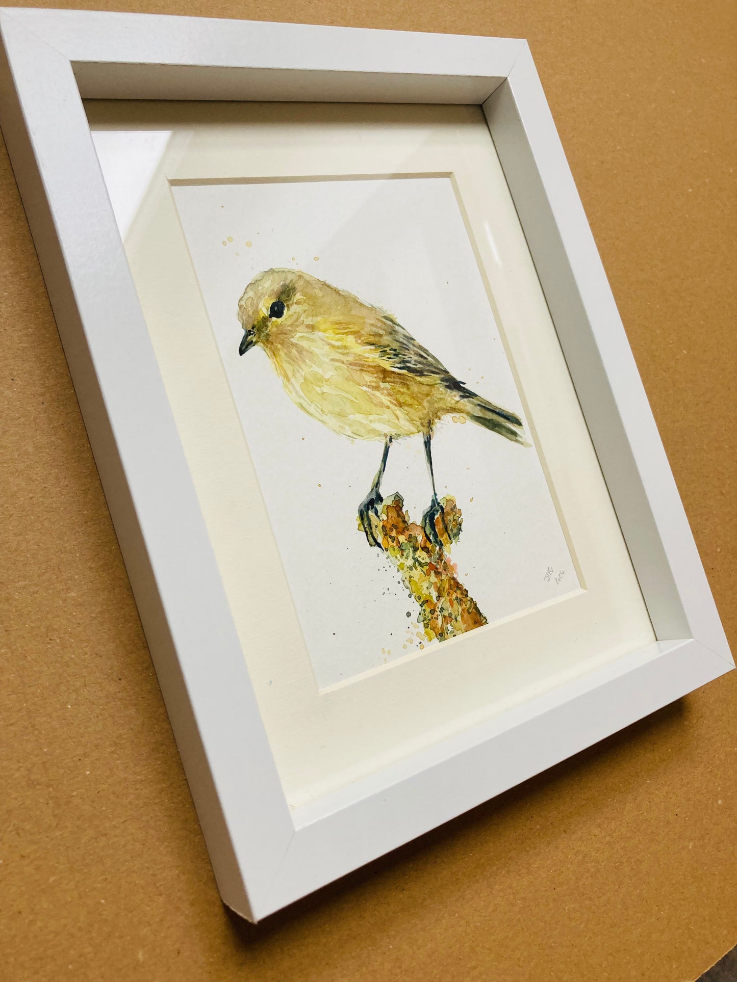 February26 Chif Chaff