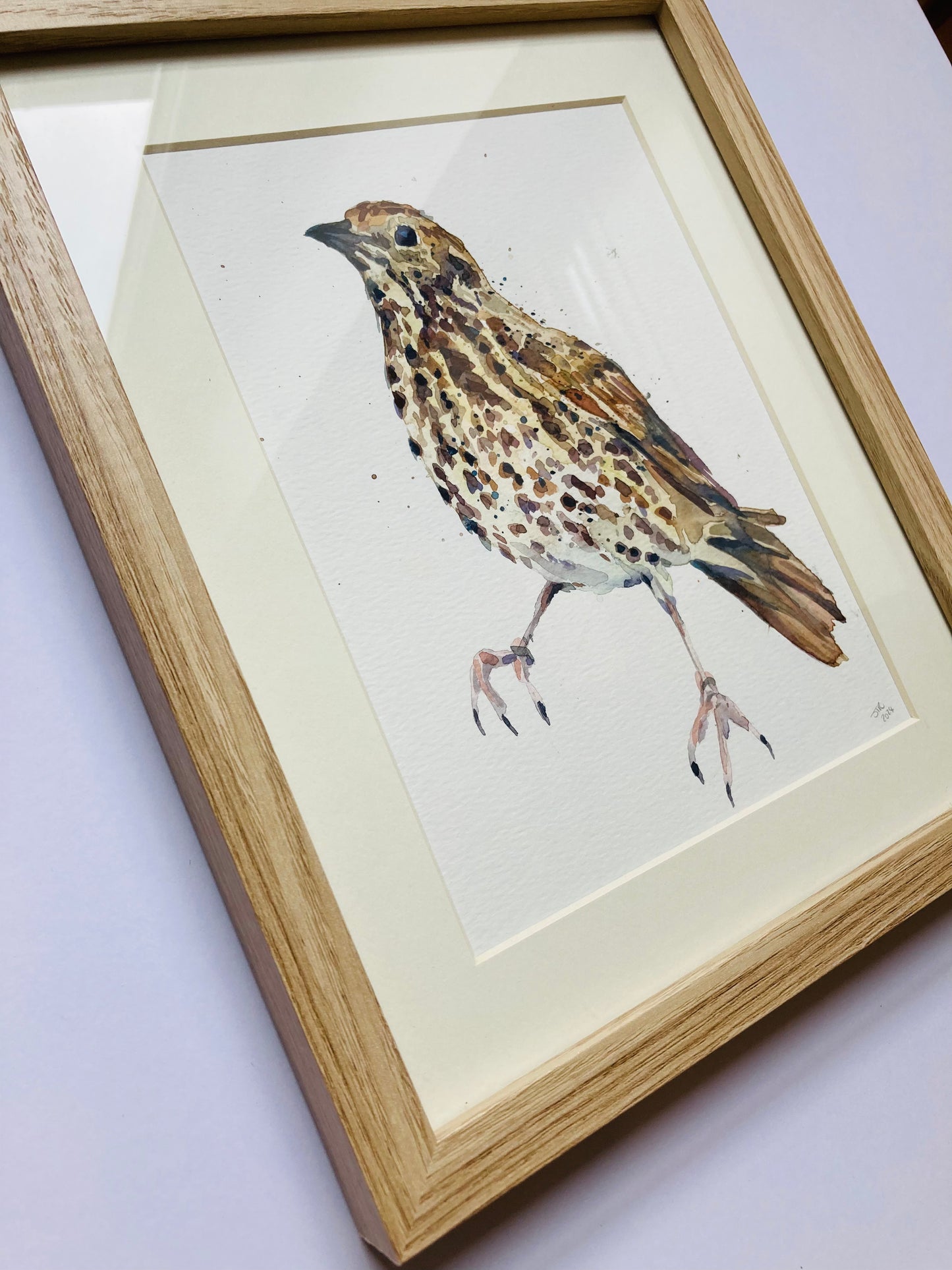 February18 Song Thrush