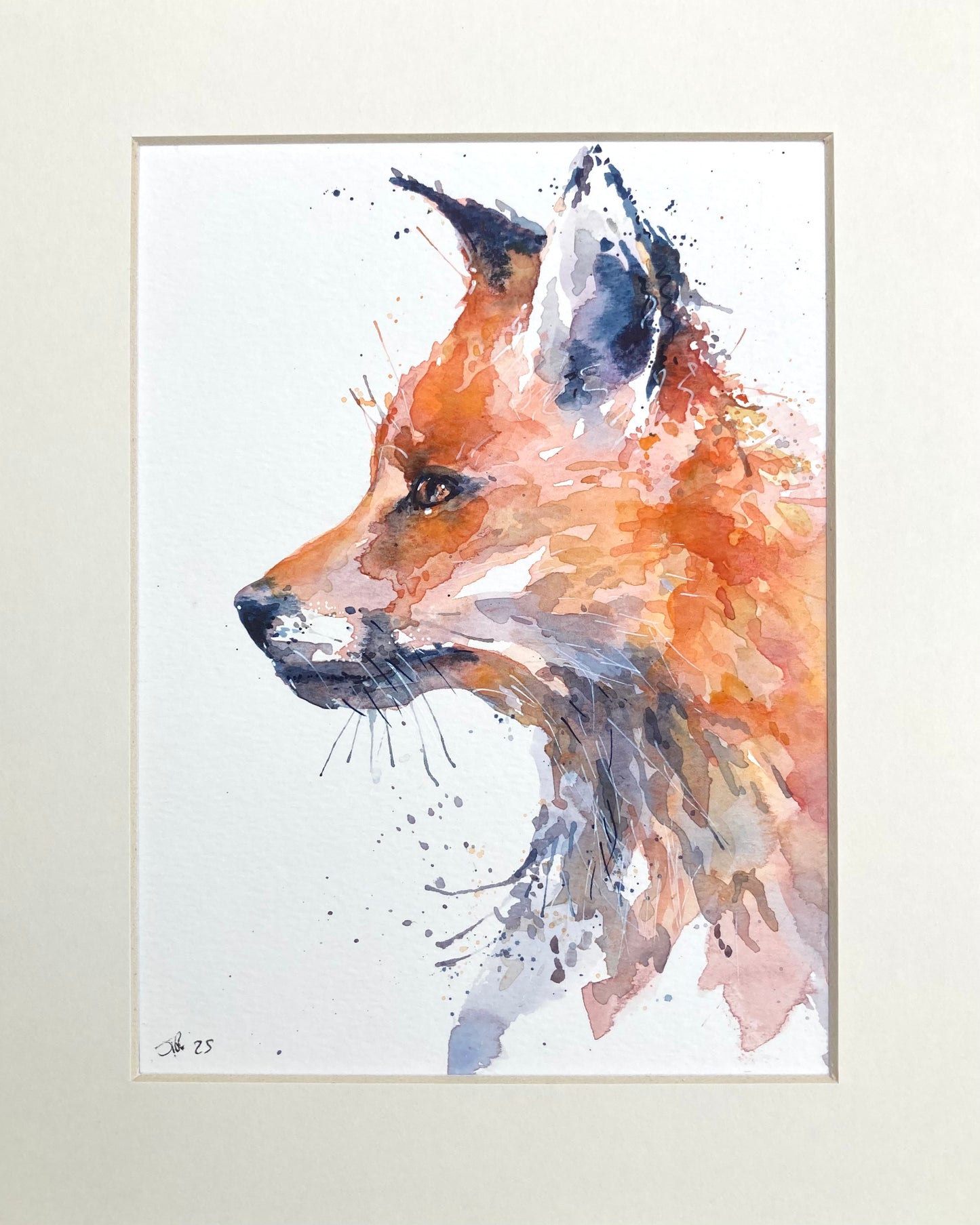 Fox - In my sight