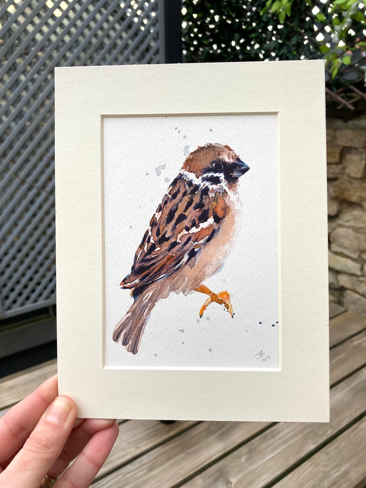 February05 Sparrow