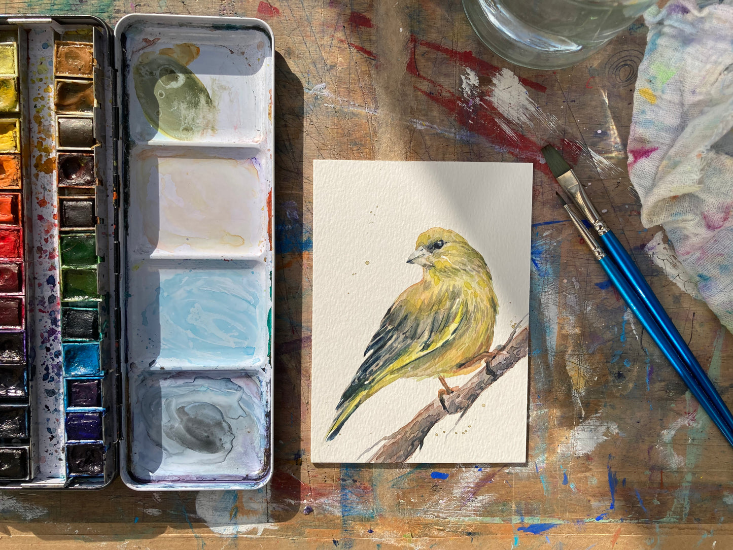 February21 Green Finch