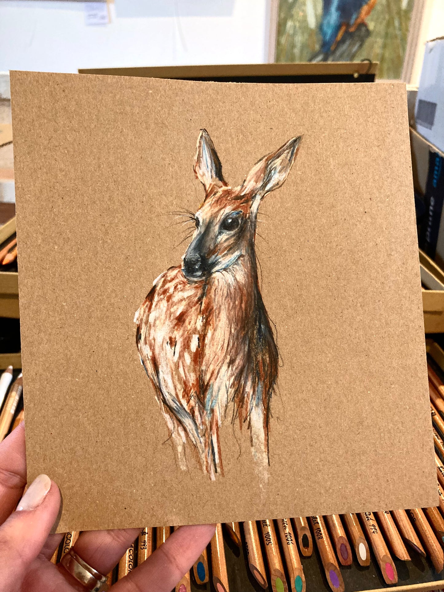Roe Deer pencil drawing