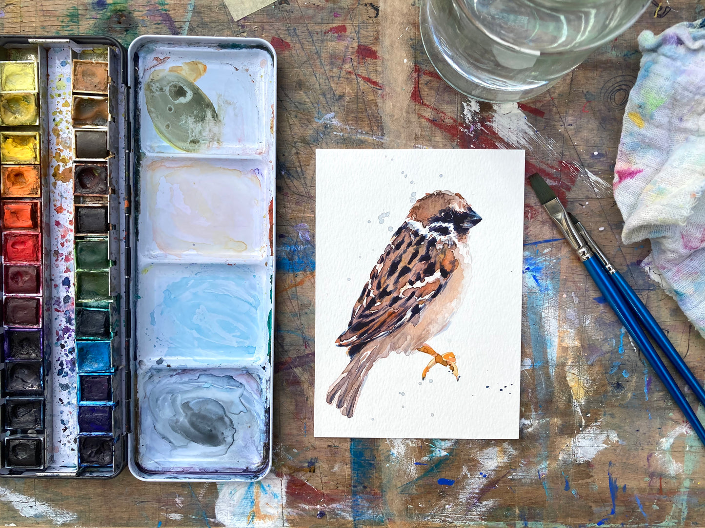February05 Sparrow