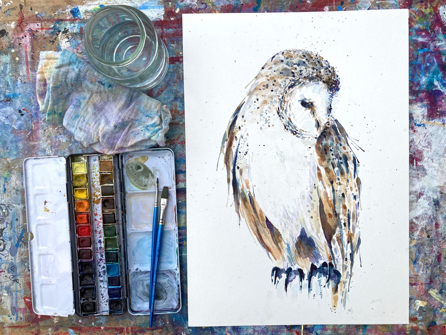 February01 Barn Owl