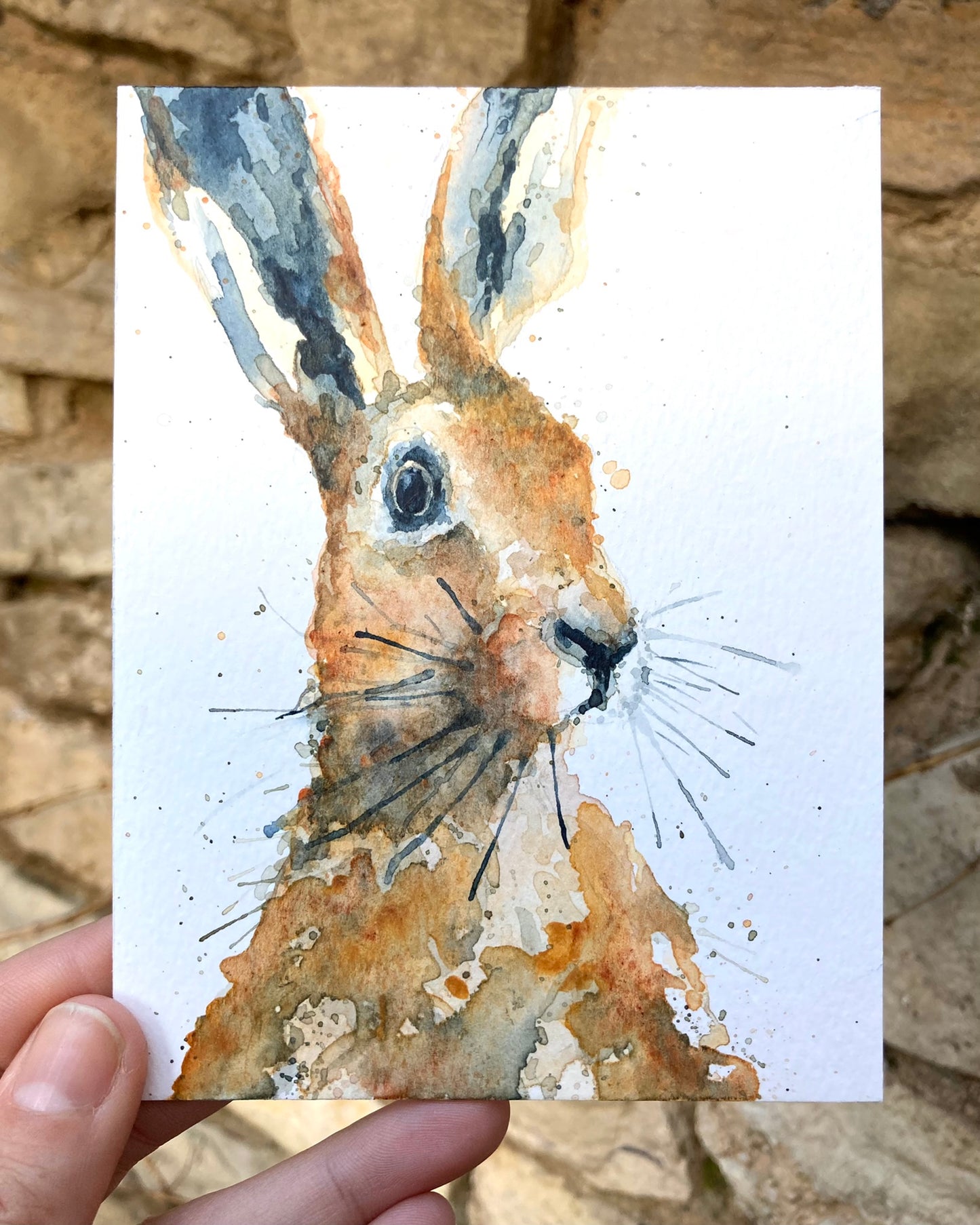 A little happy Hare watercolour
