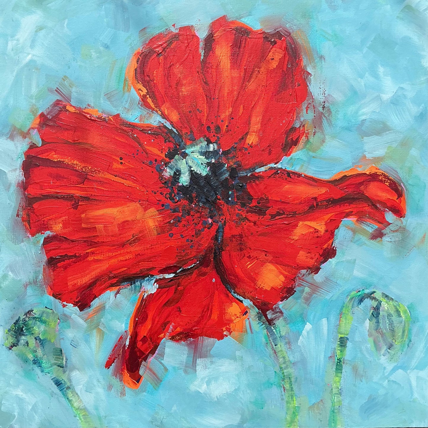 Le Coqueliot Poppy 2026