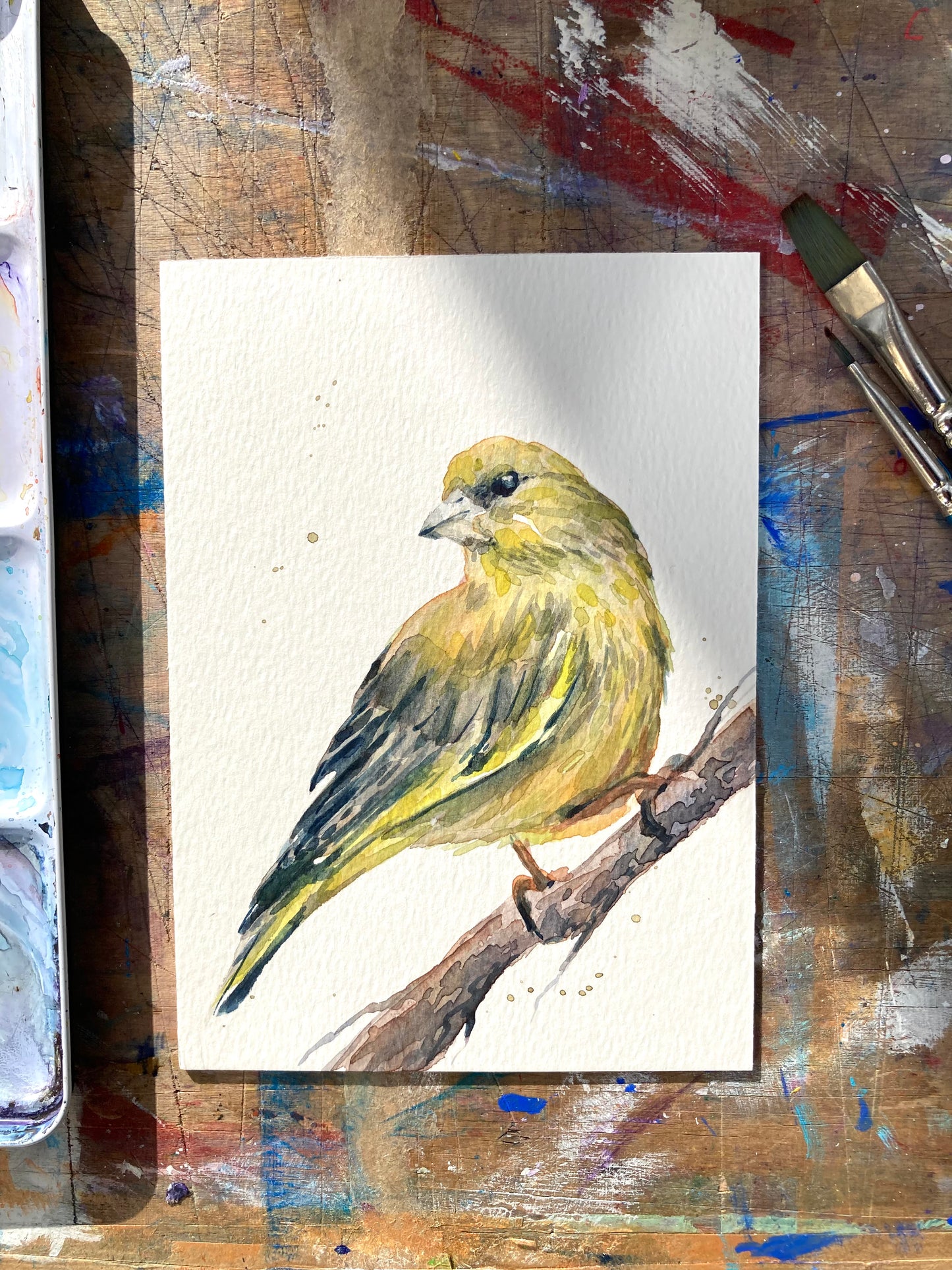 February21 Green Finch