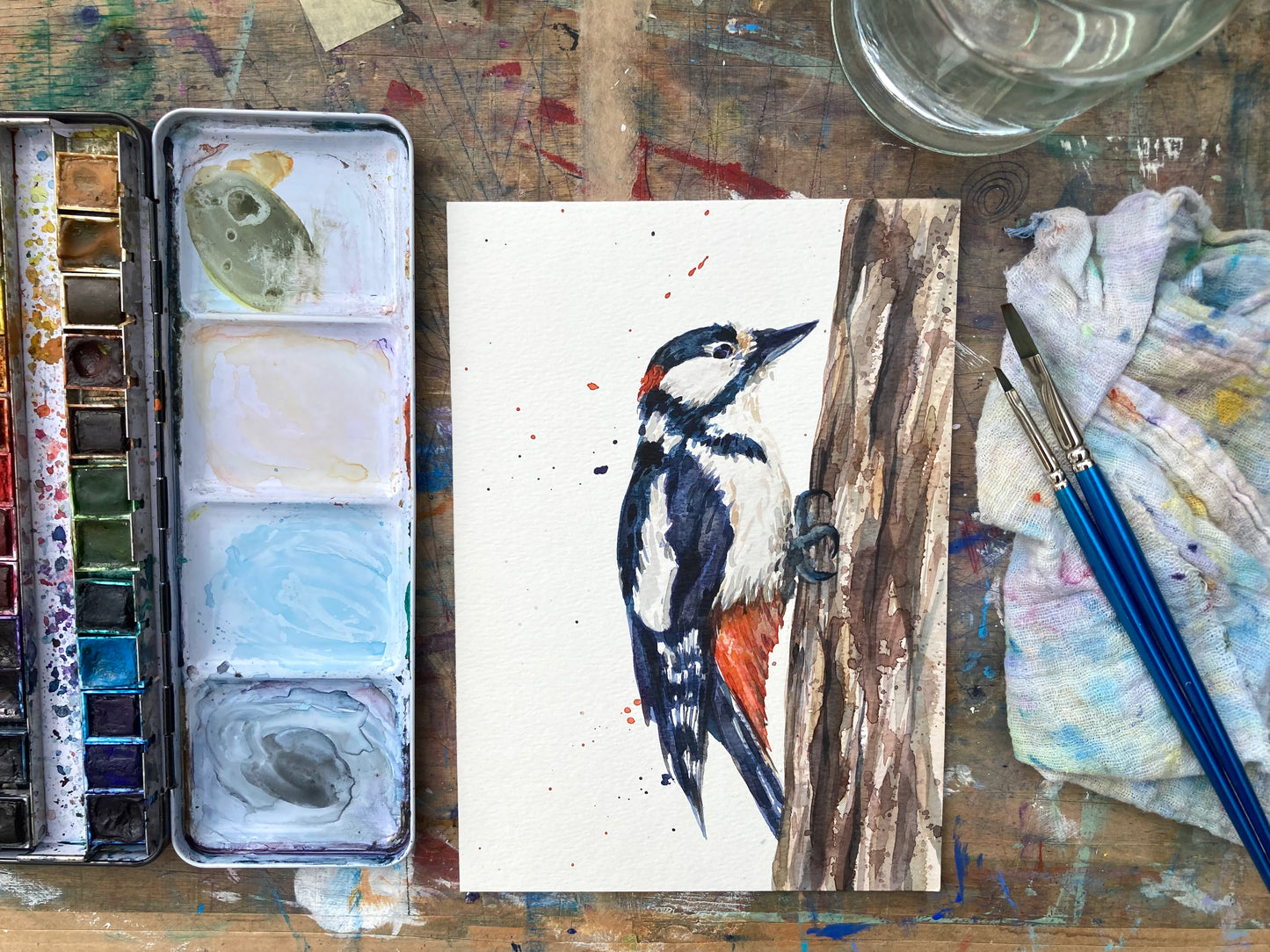 February20 Woodpecker