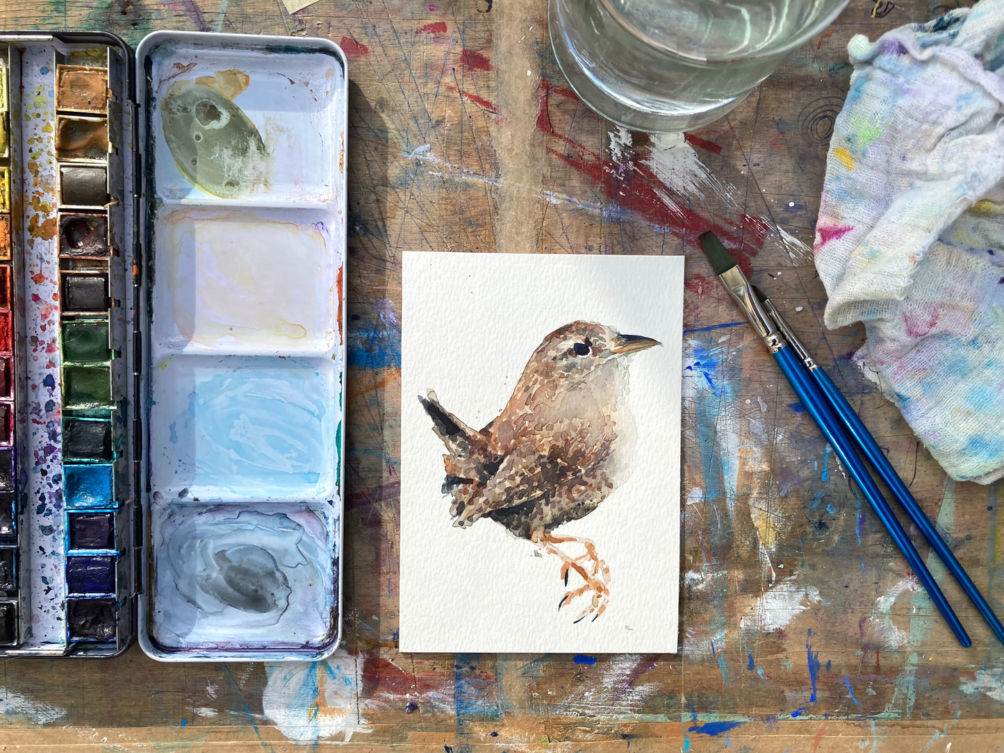 February06 Wren