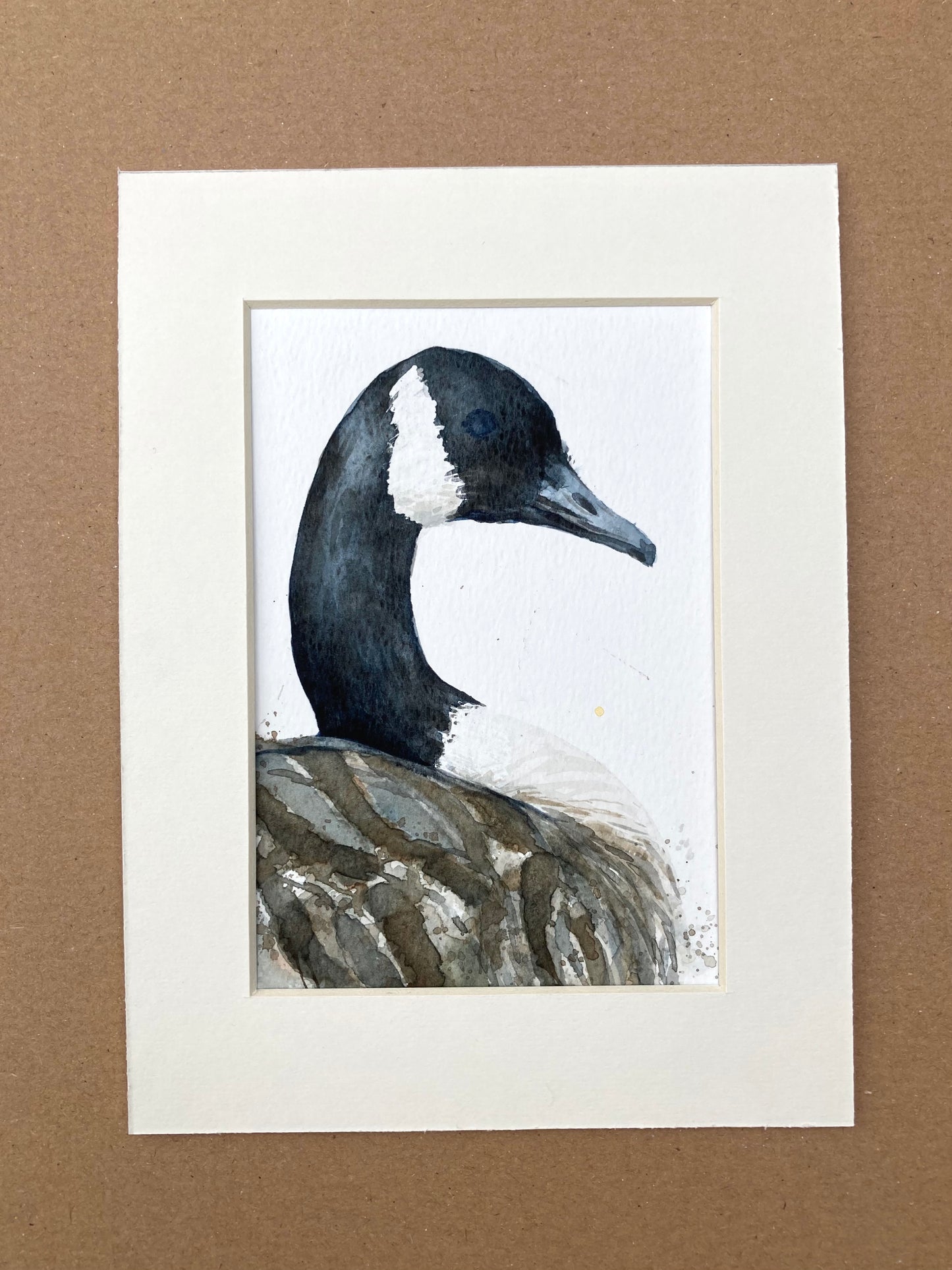 February24 Canadian Goose