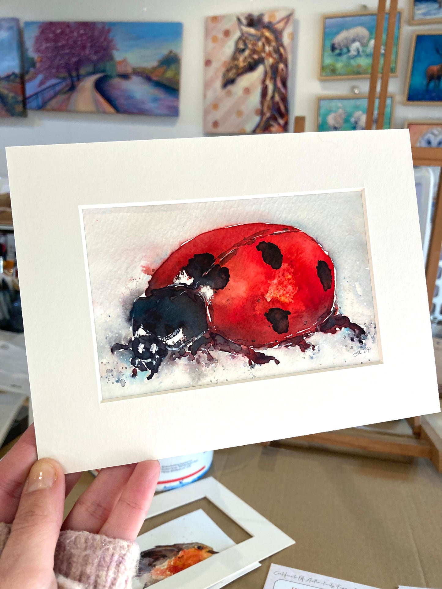 Ladybird Ladybird watercolour