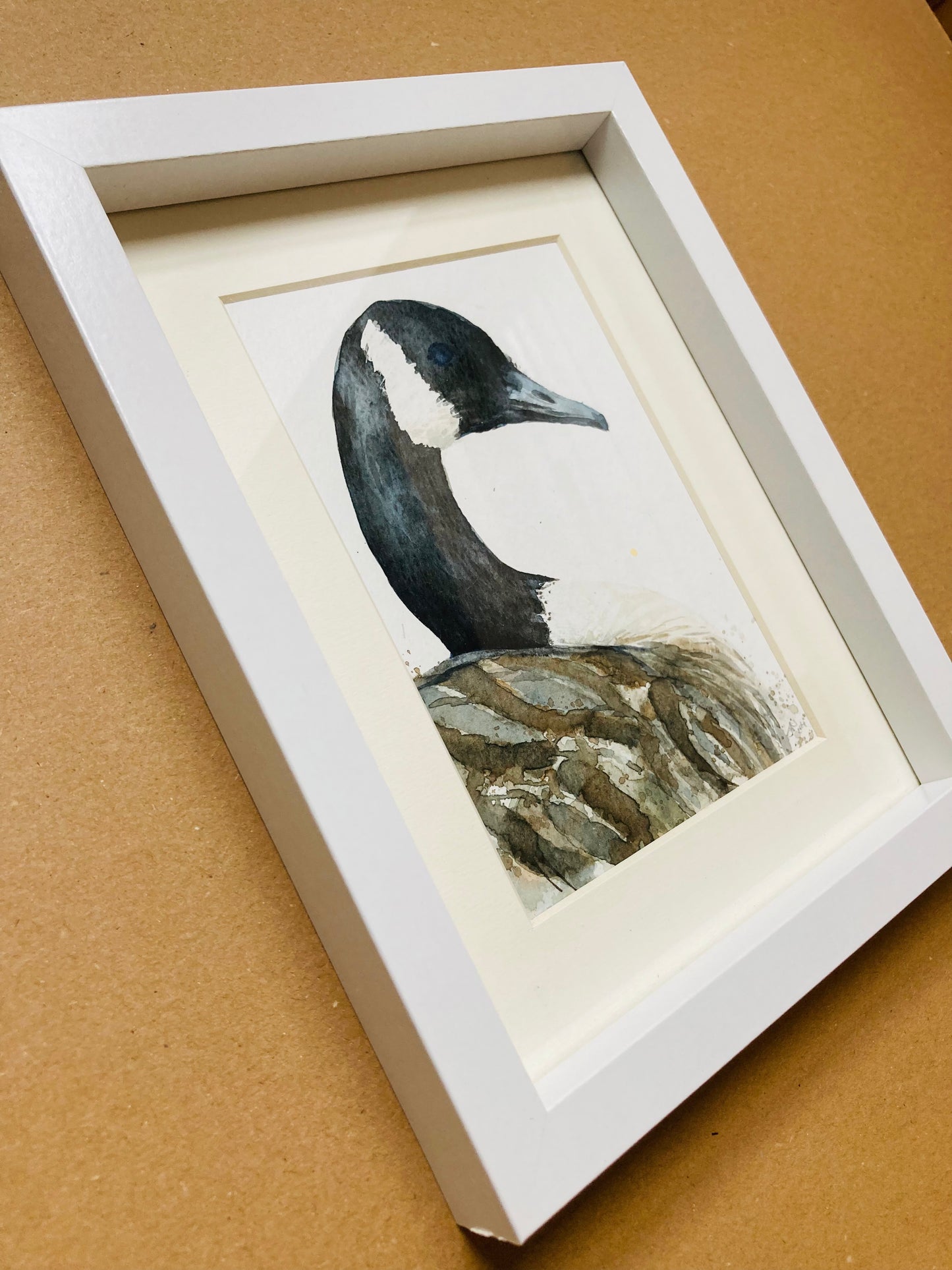 February24 Canadian Goose