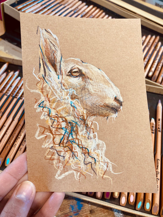 Drawing of Sheep’s head