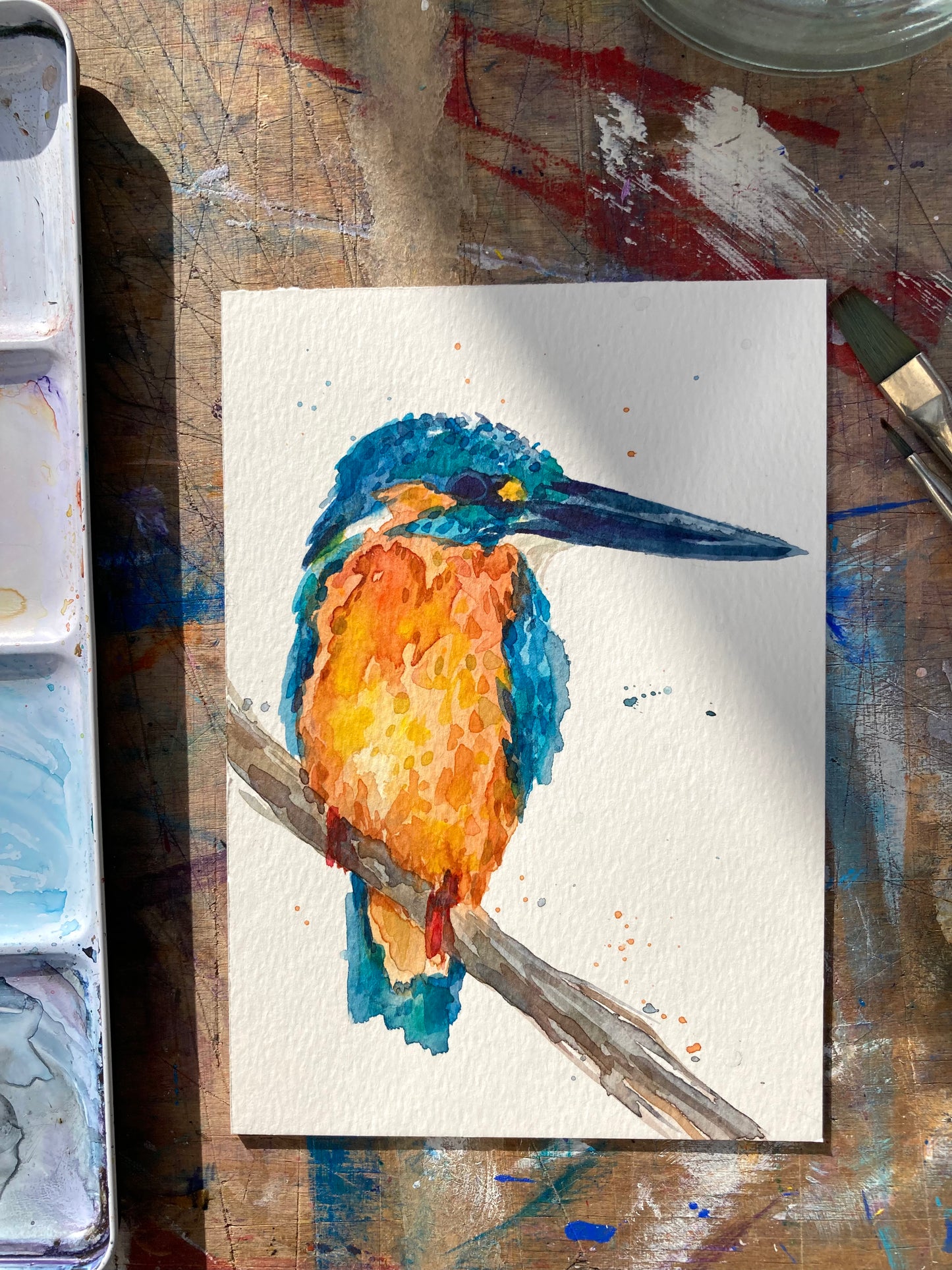 February15 King Fisher