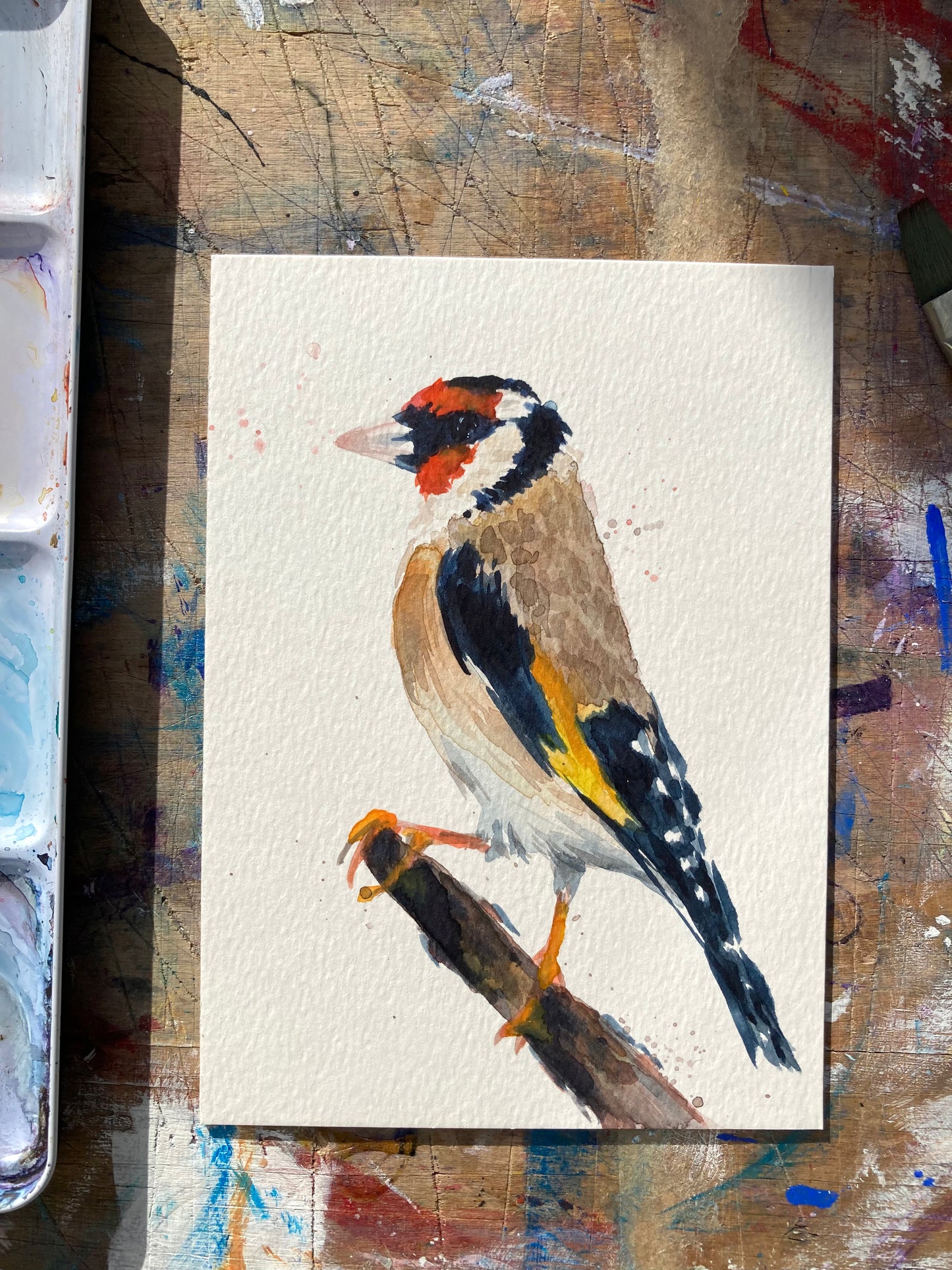 February07 Goldfinch