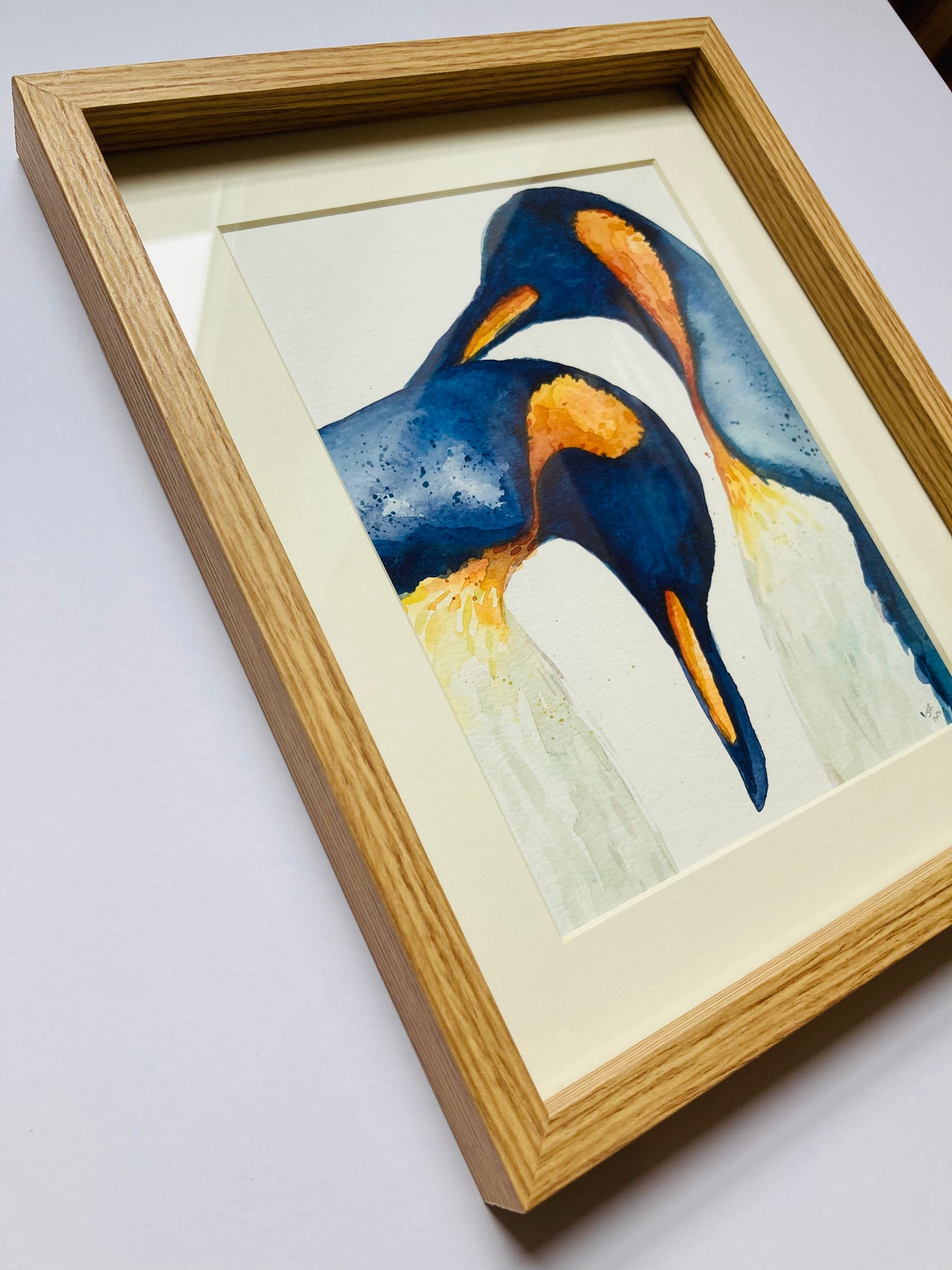 February14 King Penguin Pair