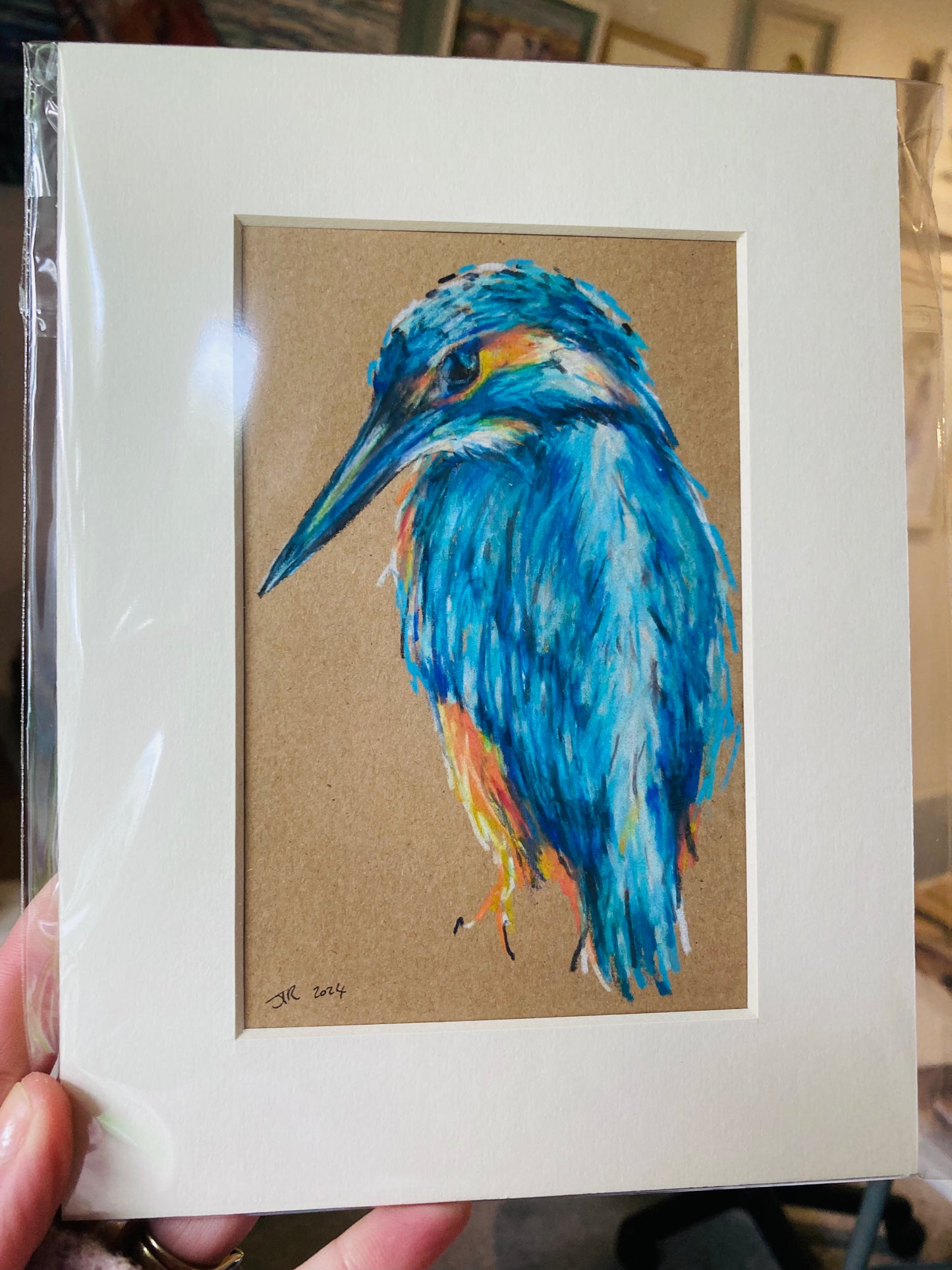 Drawing of A Kingfisher