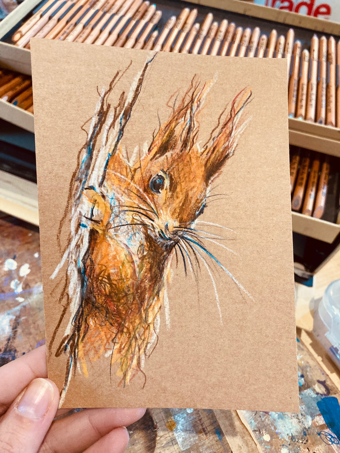 Drawing of Red Squirrel head