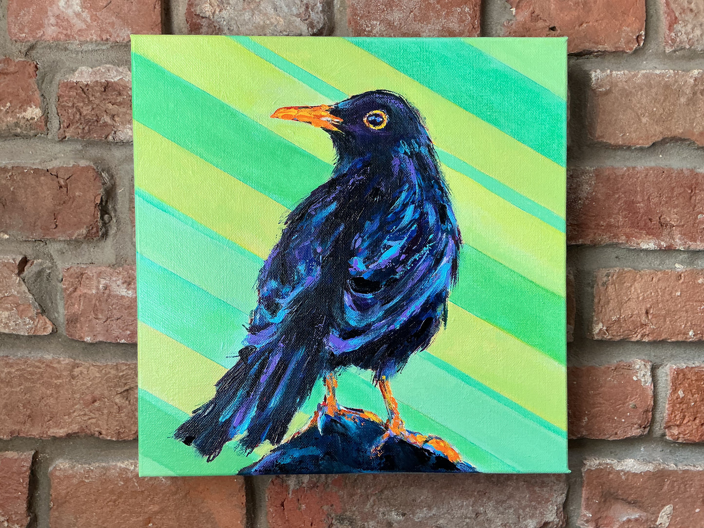 Blackbird- keeping watch