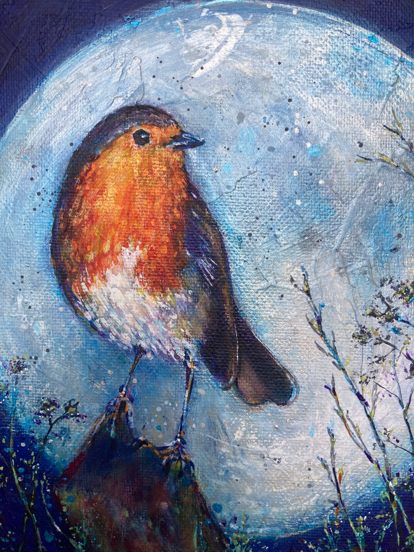 Super moon Rising (Robin)