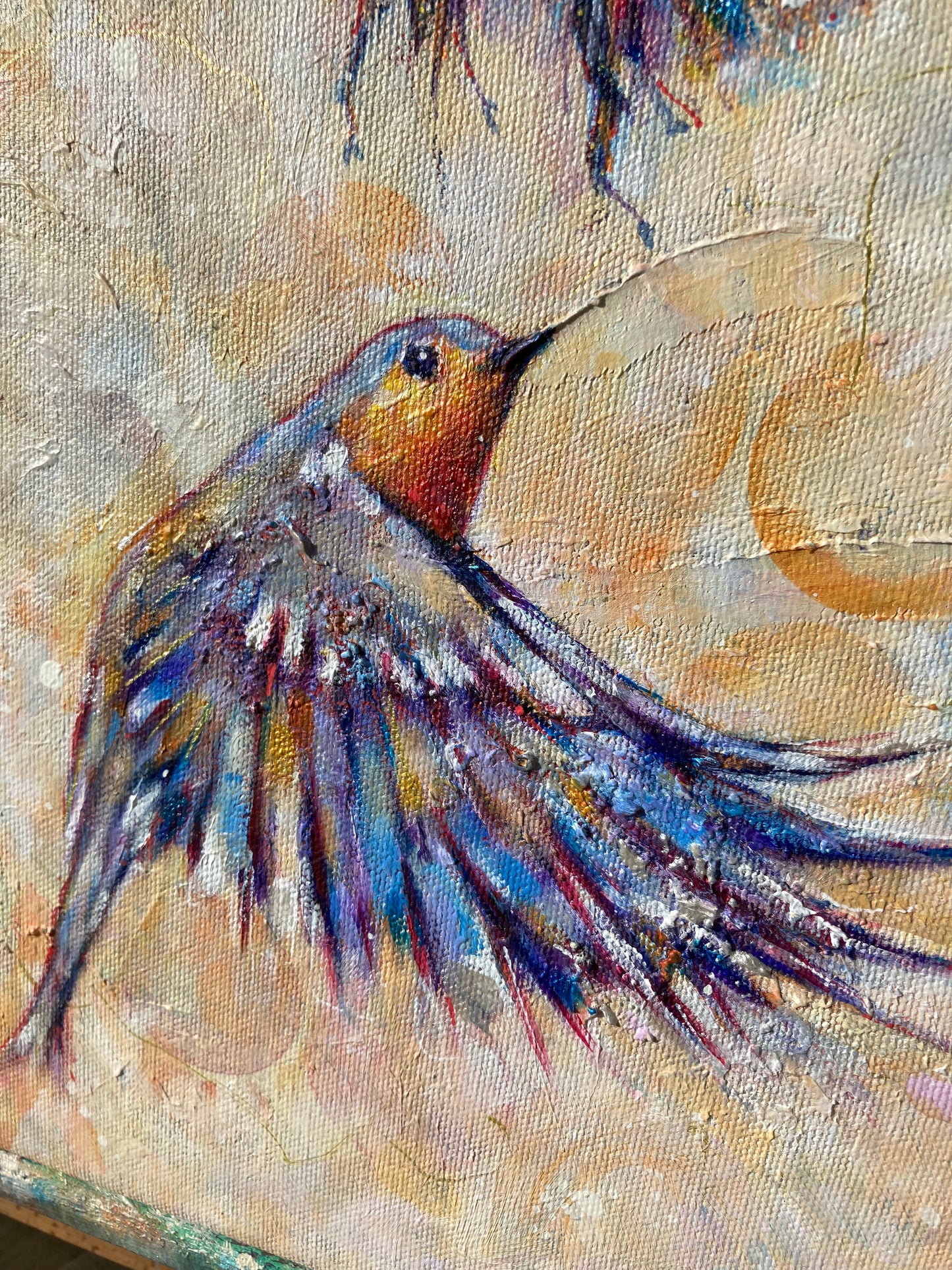 The Flicker Dance -Robins & Bees