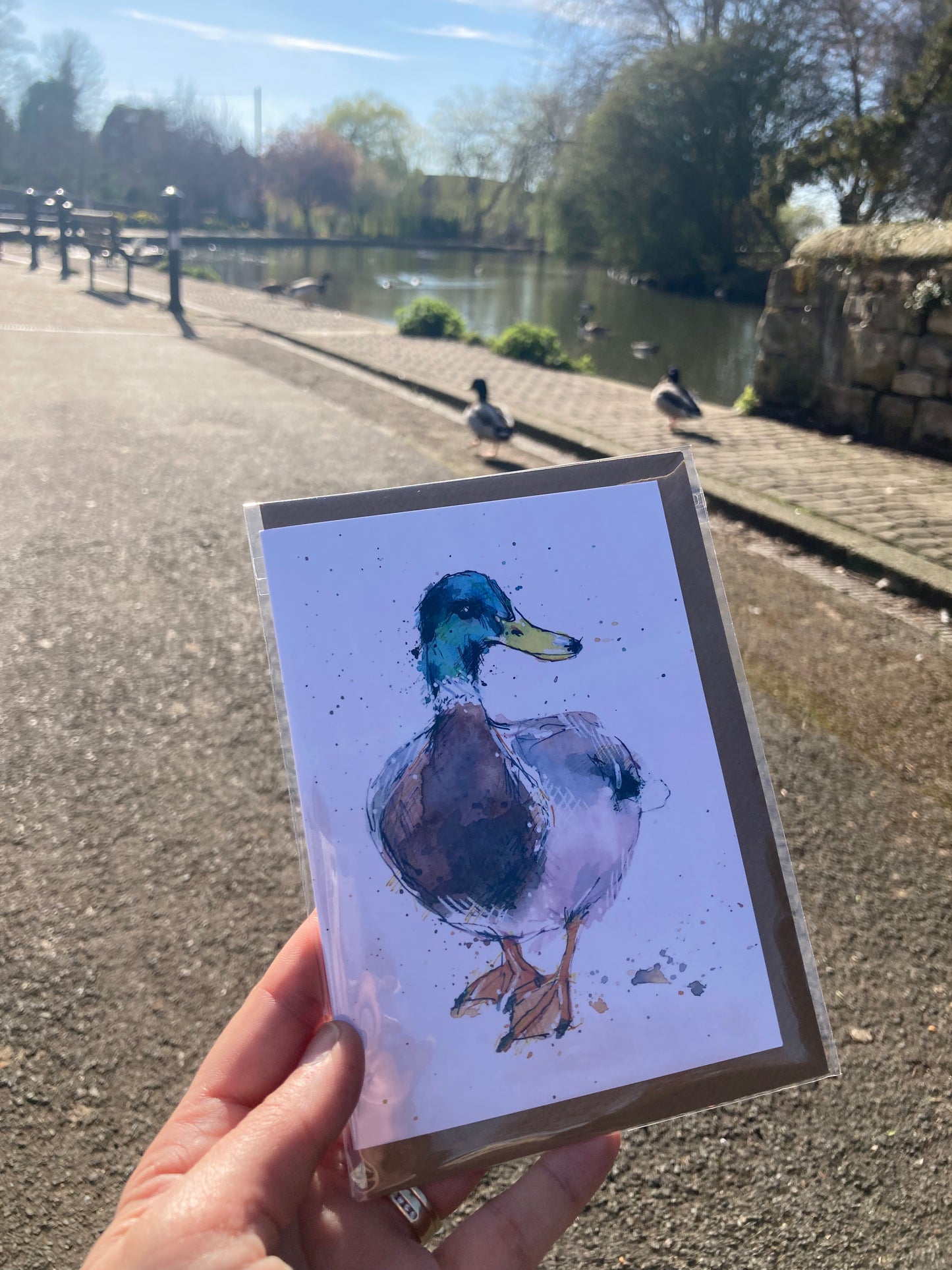 A6 Greetings card Duck with Brown Kraft envelope