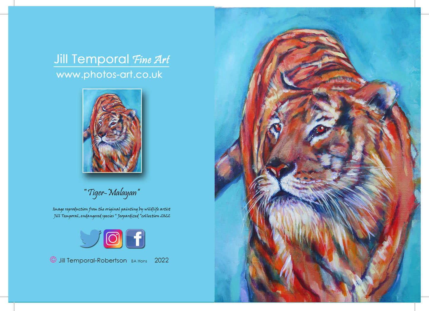 A6 Tiger Card