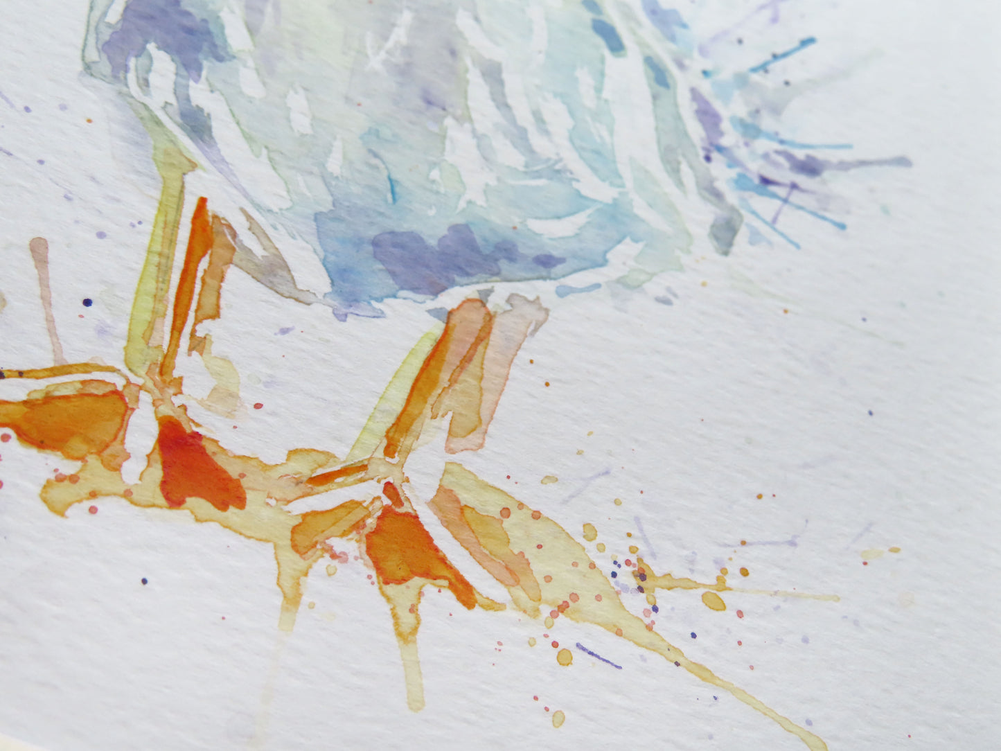 GOOSE (#3) watercolour