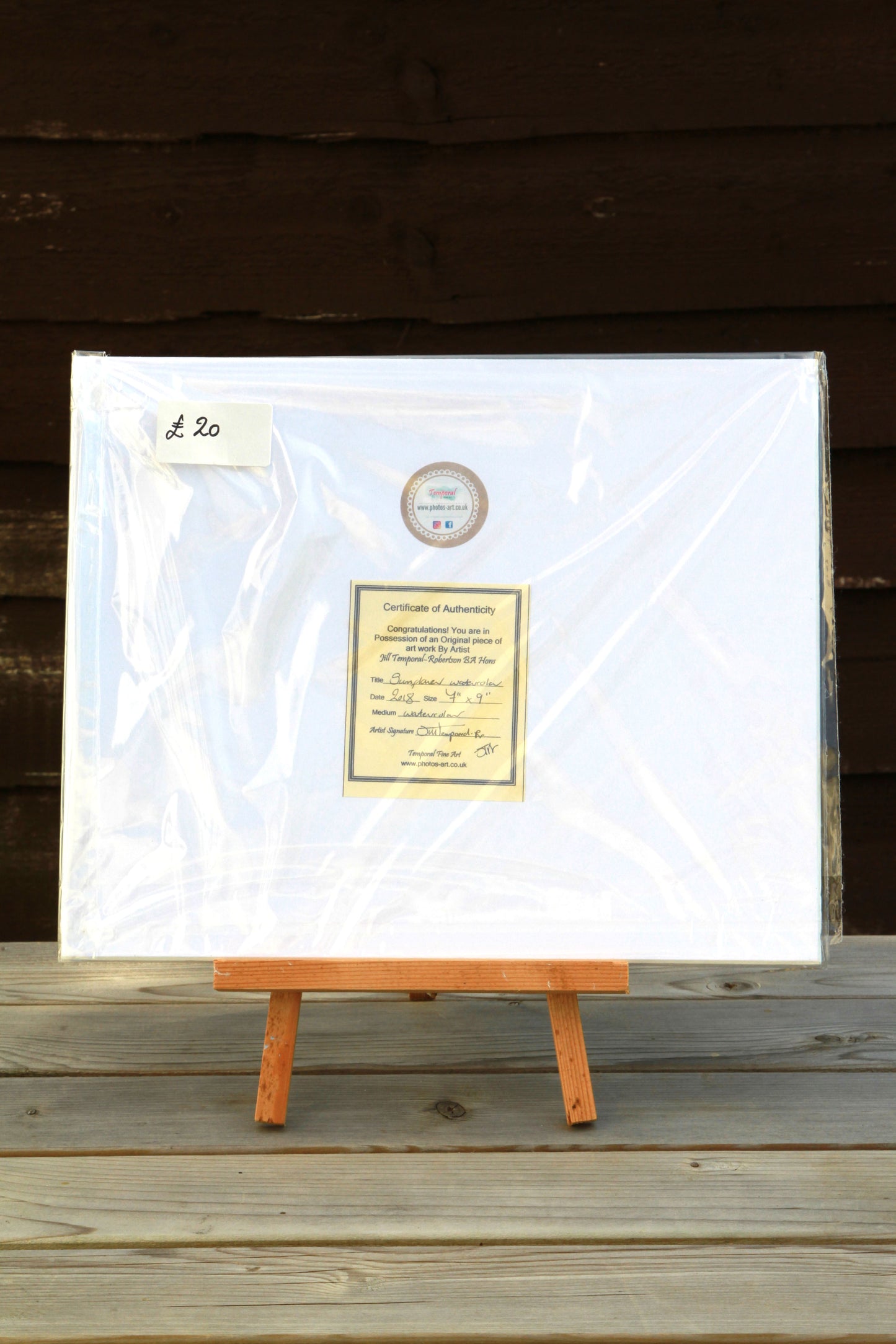 Sunflower Watercolour