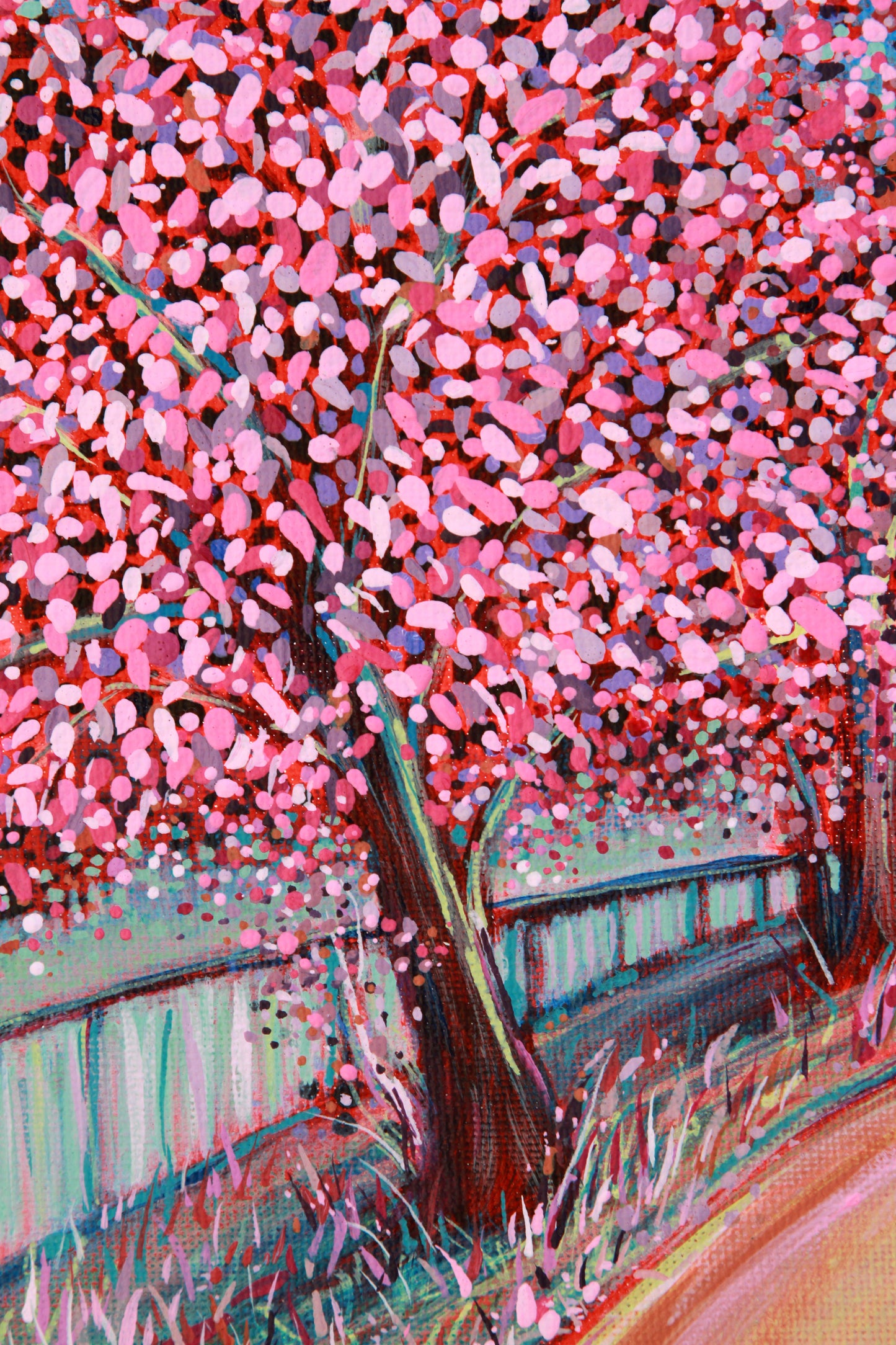 Three Cherry Blossoms